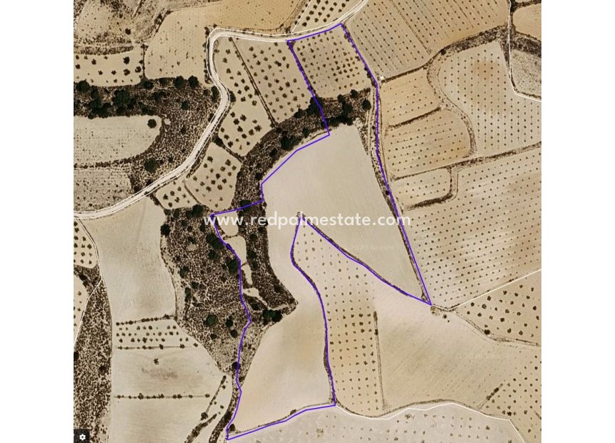 Videresalg - Plott -
Pinoso - Inland