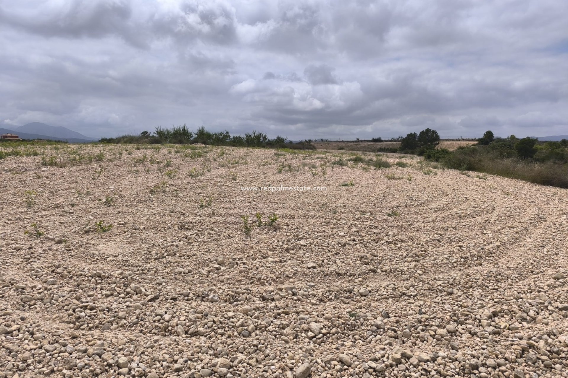Videresalg - Plott -
Pinoso - Inland
