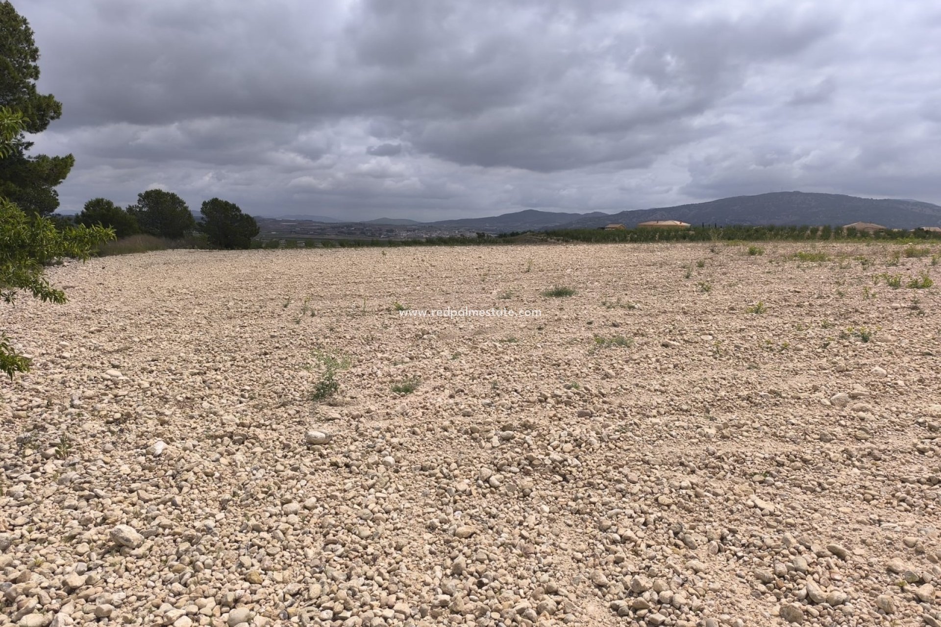 Videresalg - Plott -
Pinoso - Inland