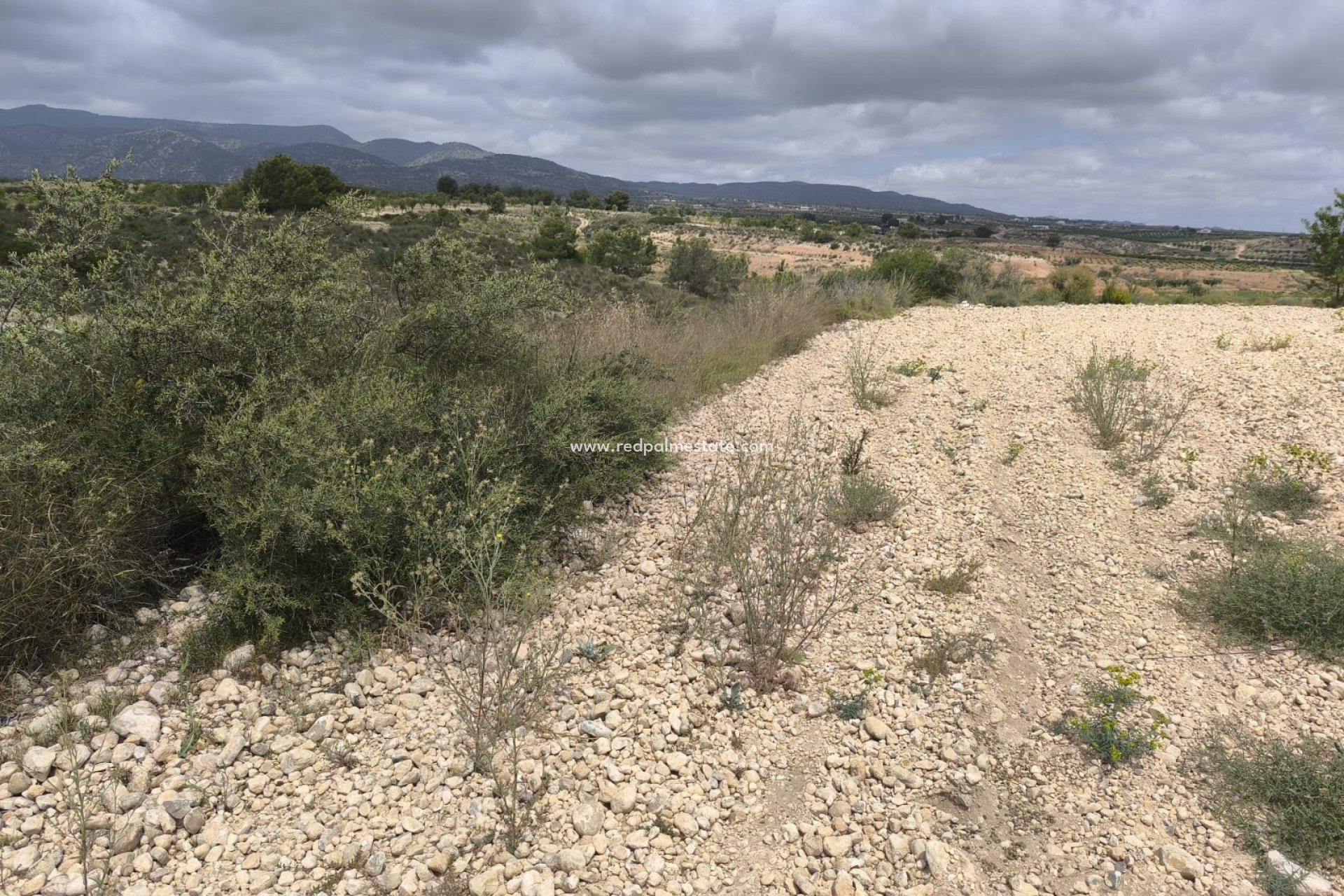 Videresalg - Plott -
Pinoso - Inland