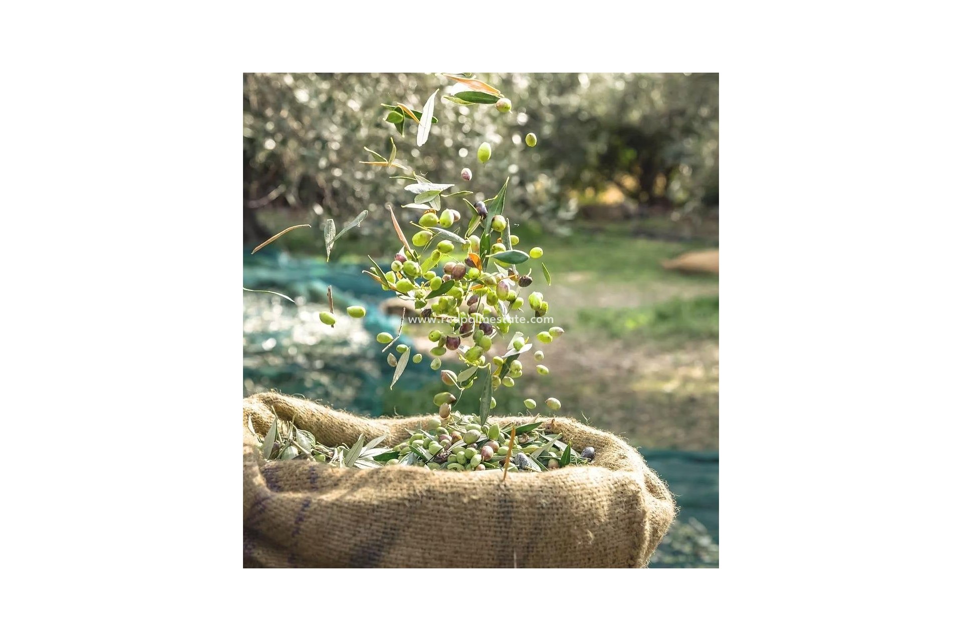 Videresalg - Plott -
Puerto Lumbreras - Inland