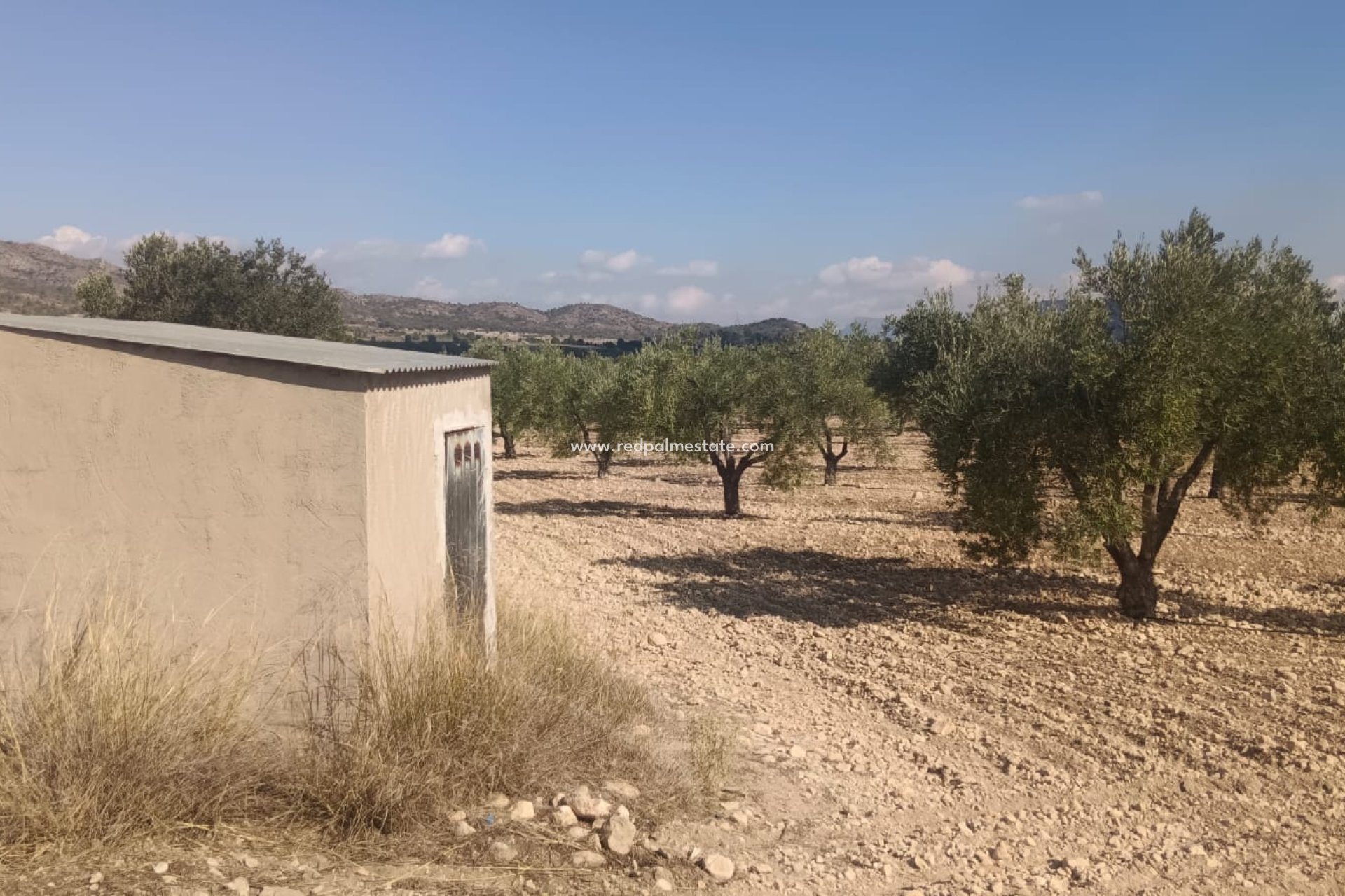 Videresalg - Plott -
Salinas - Inland