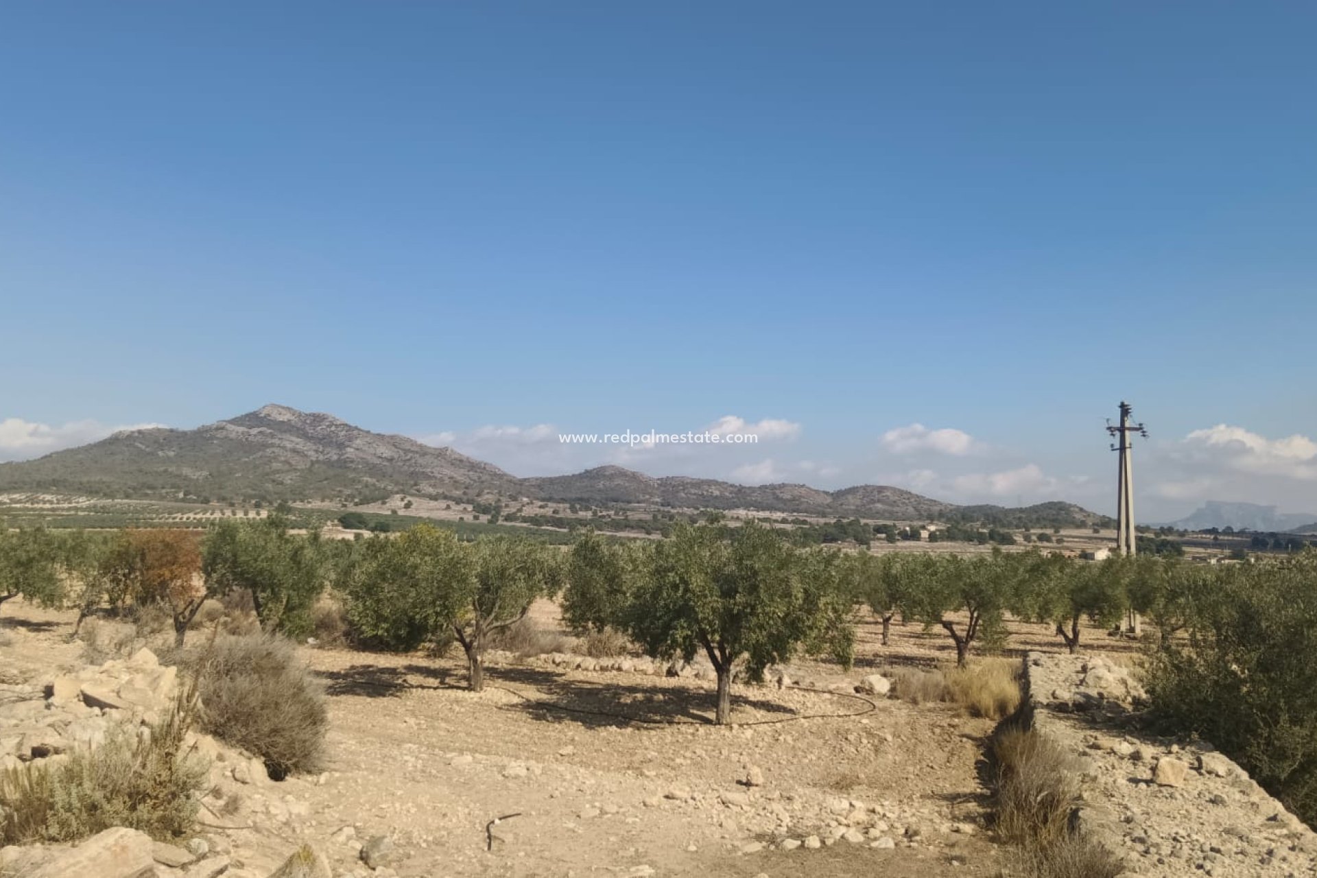 Videresalg - Plott -
Salinas - Inland