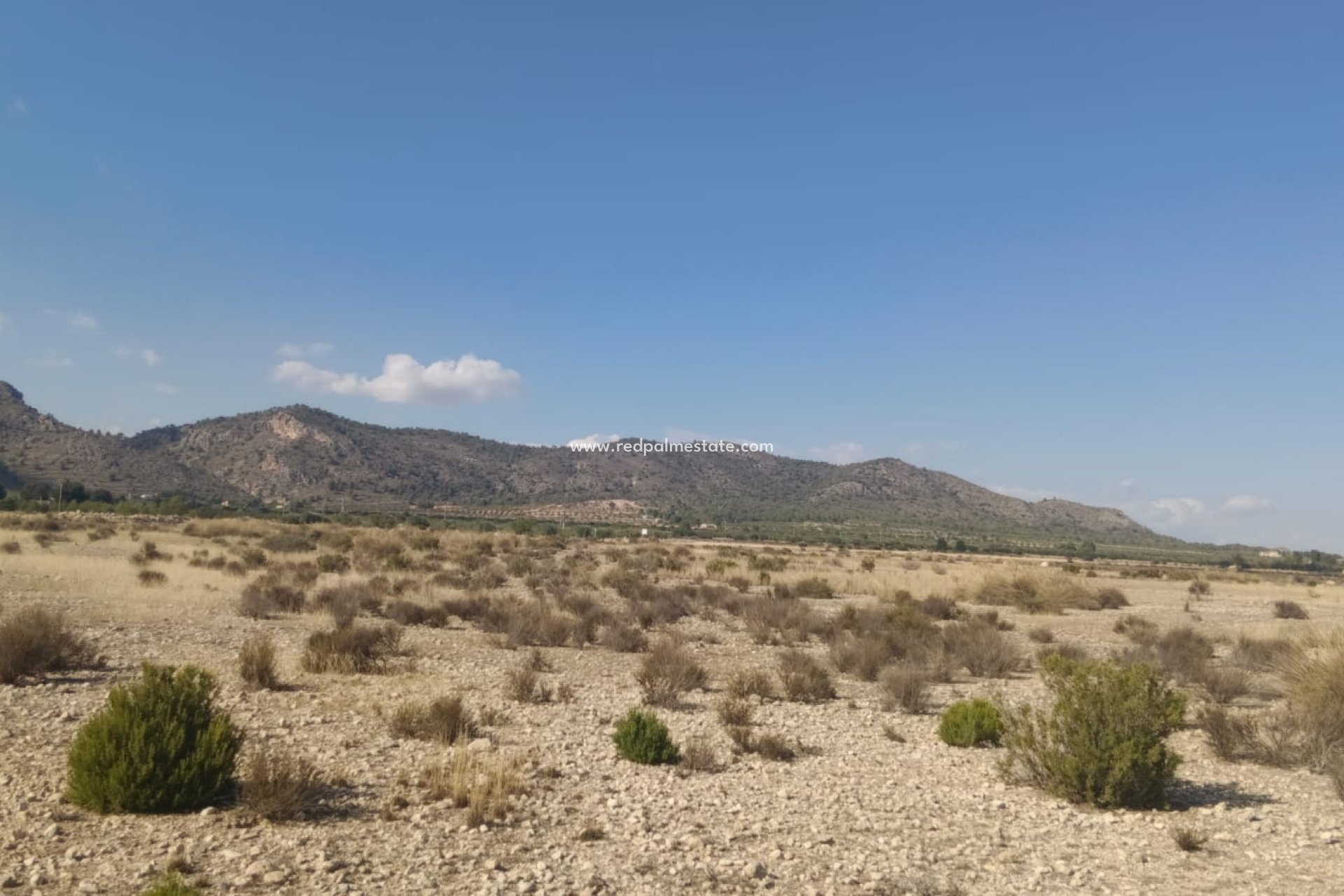 Videresalg - Plott -
Salinas - Inland