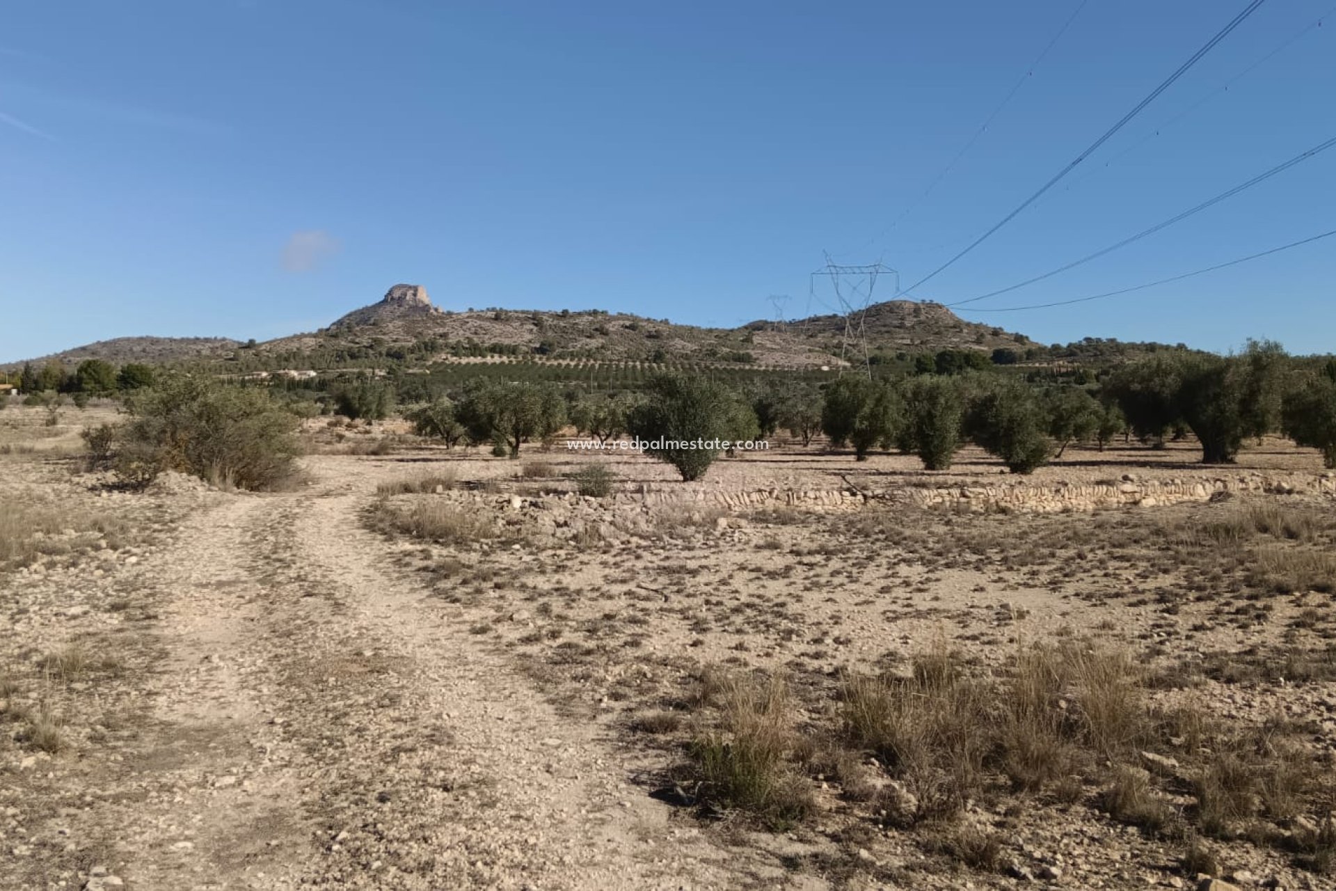 Videresalg - Plott -
Salinas - Inland
