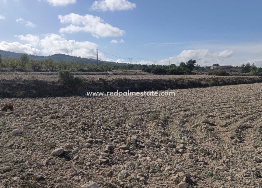 Videresalg - Plott -
Salinas - Inland