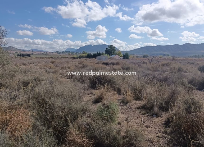 Videresalg - Plott -
Salinas - Inland