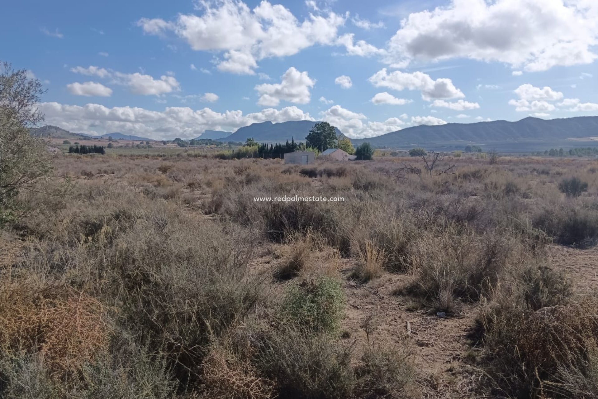 Videresalg - Plott -
Salinas - Inland