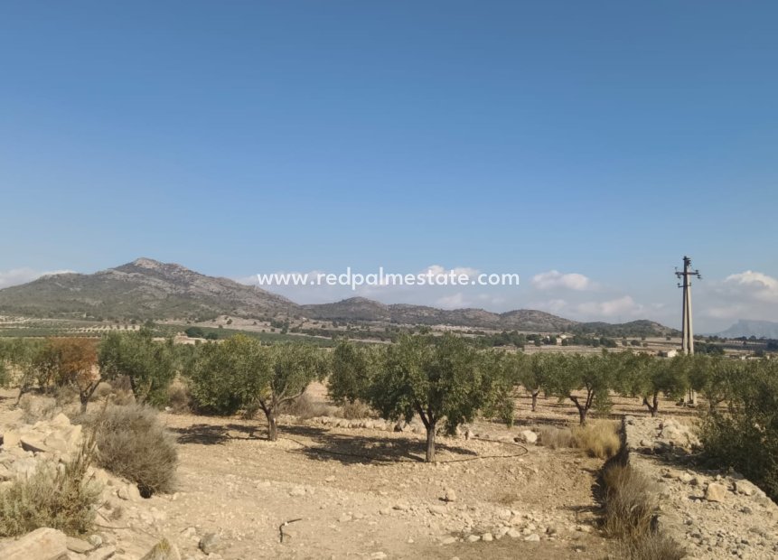 Videresalg - Plott -
Salinas - Inland