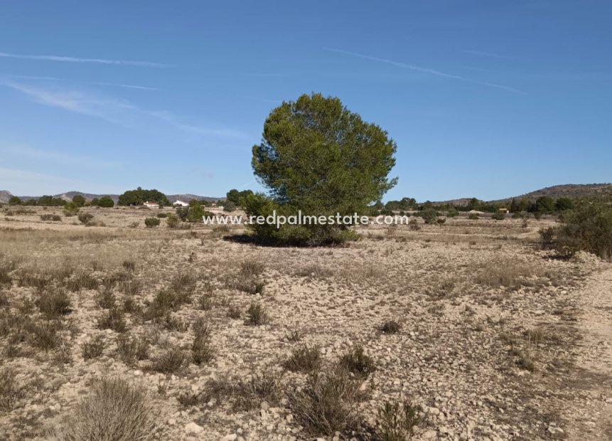 Videresalg - Plott -
Salinas - Inland