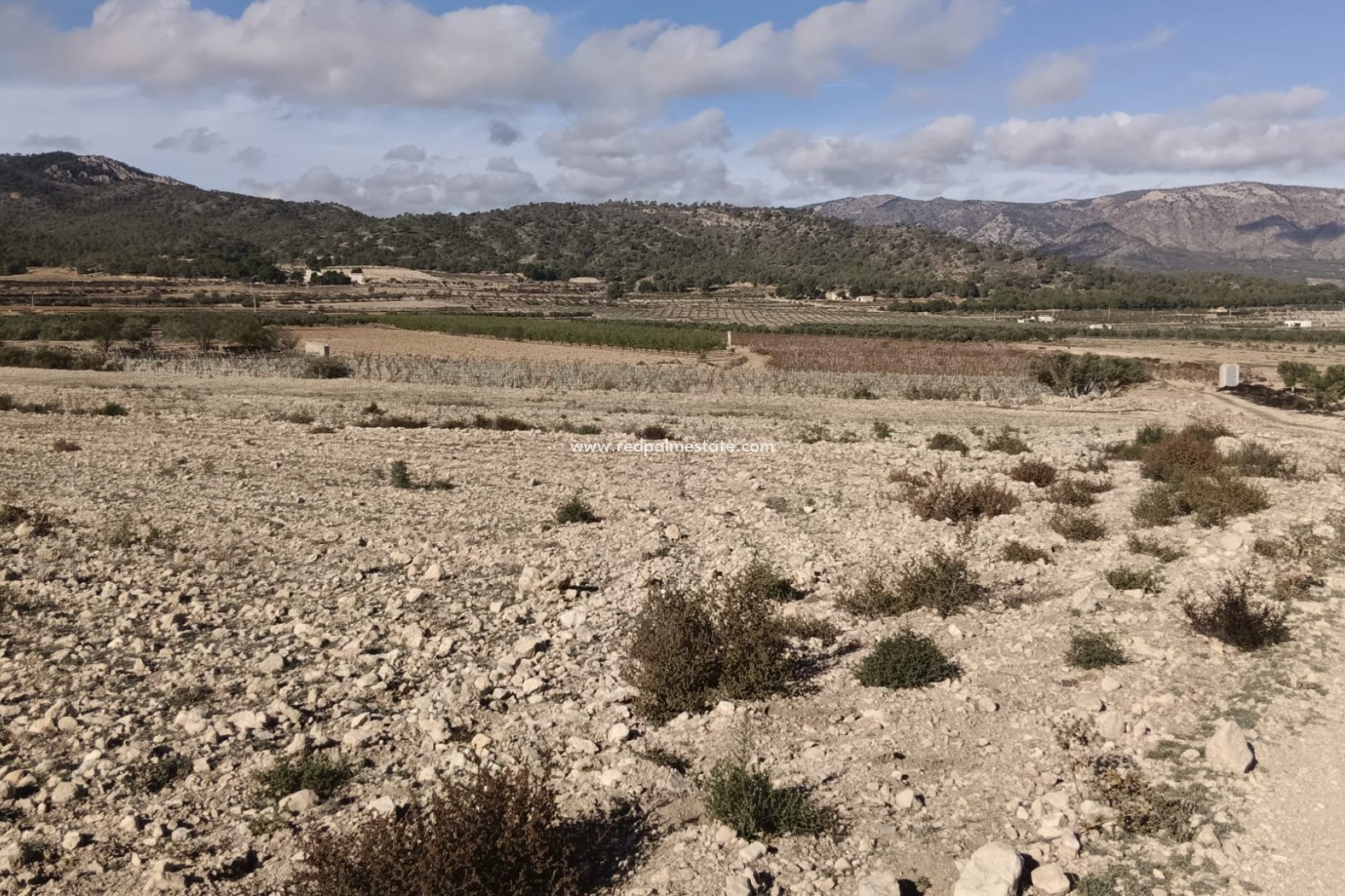 Videresalg - Plott -
Salinas - Inland