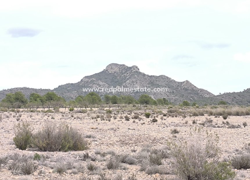 Videresalg - Plott -
Salinas - Inland