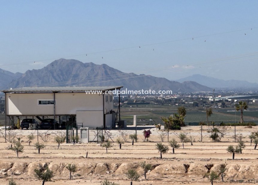 Videresalg - Plott -
San Fulgencio