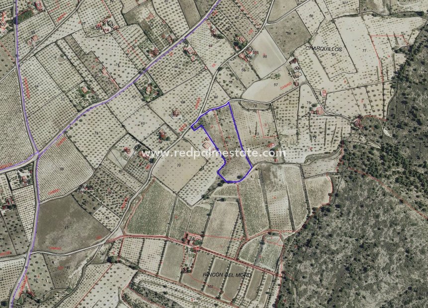 Videresalg - Plott -
Sax