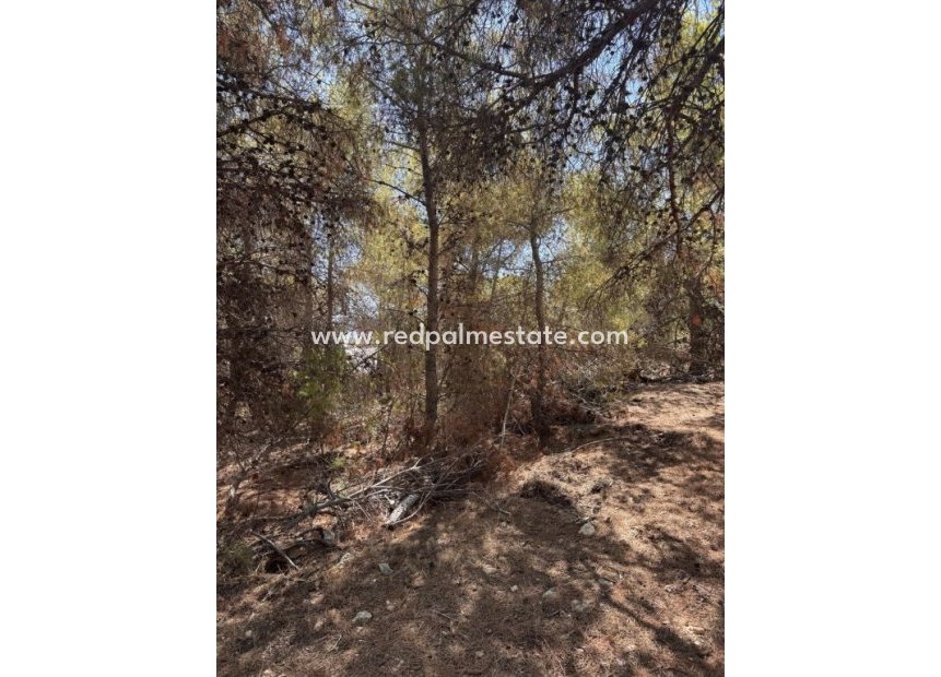 Videresalg - Plott -
Sierra Cortina - Inland