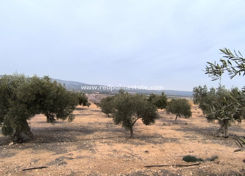 Videresalg - Plott -
Villena - Inland