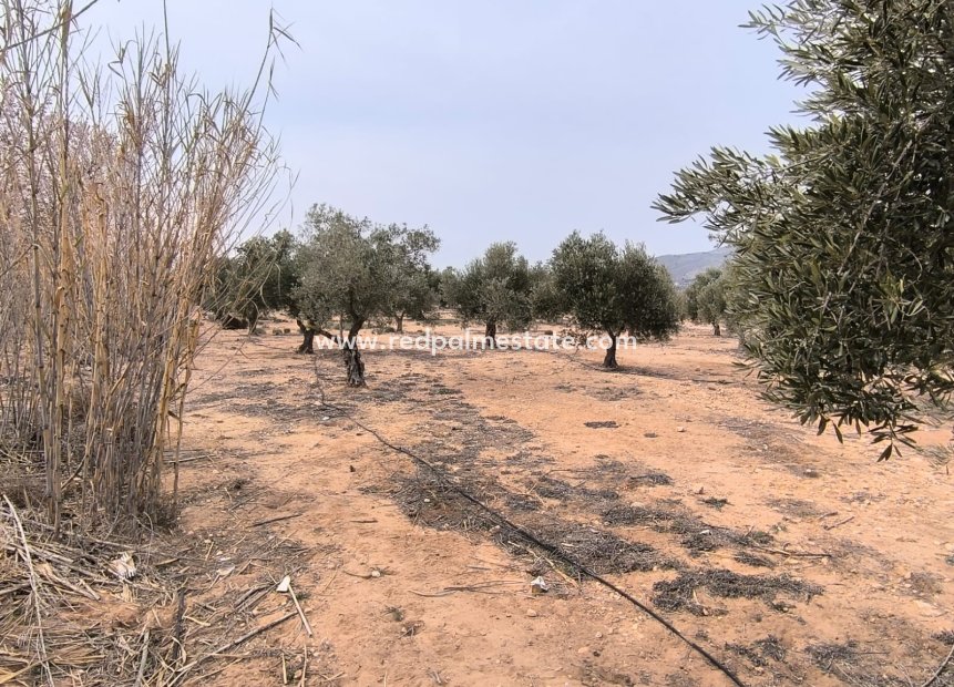 Videresalg - Plott -
Villena - Inland