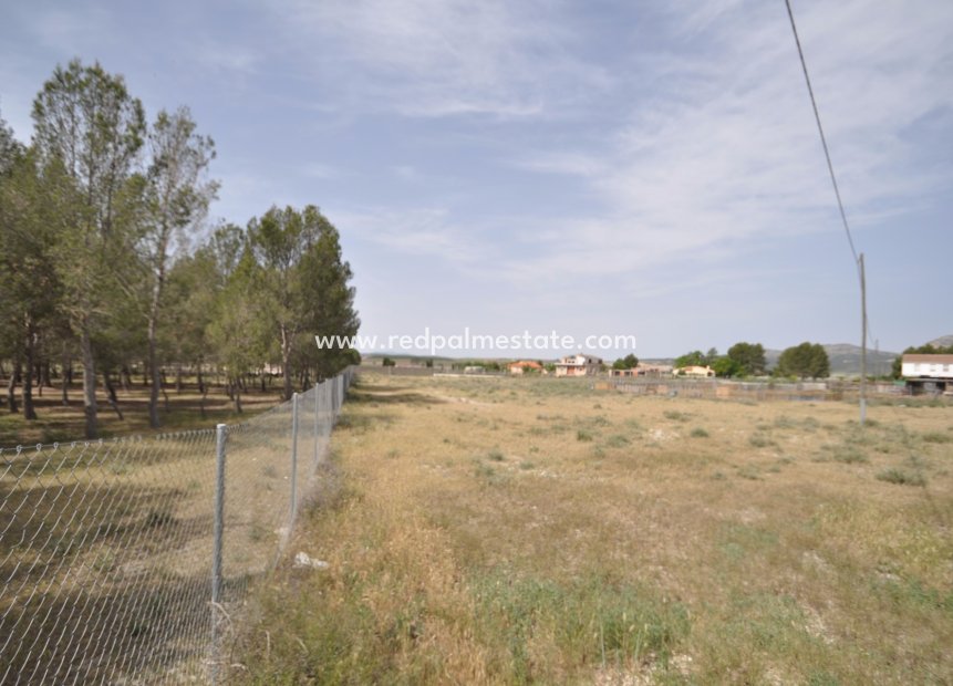 Videresalg - Plott -
Villena - Inland