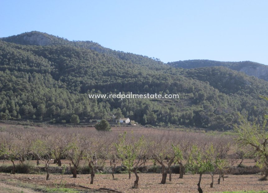 Videresalg - Plott -
Villena - Inland