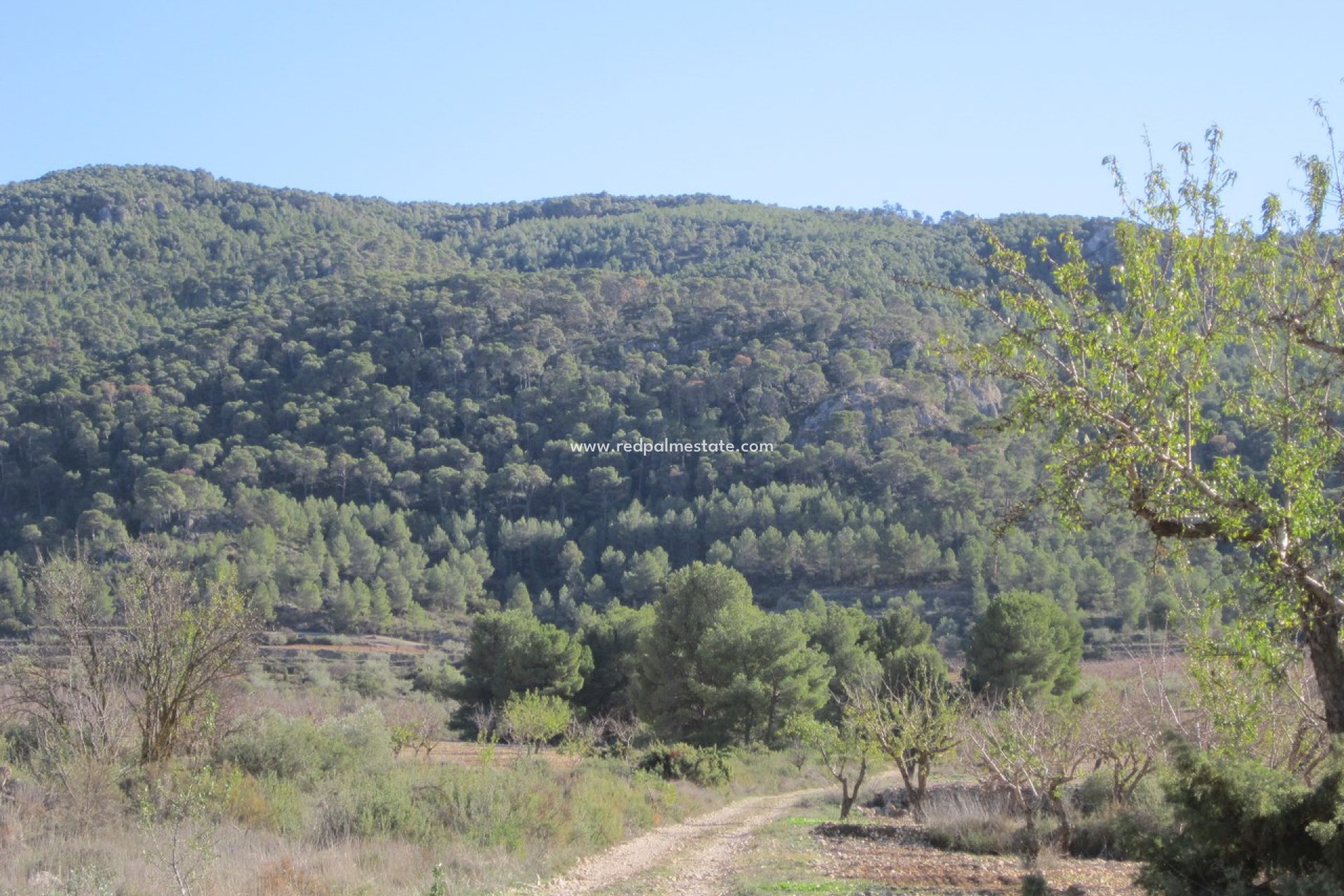 Videresalg - Plott -
Villena - Inland