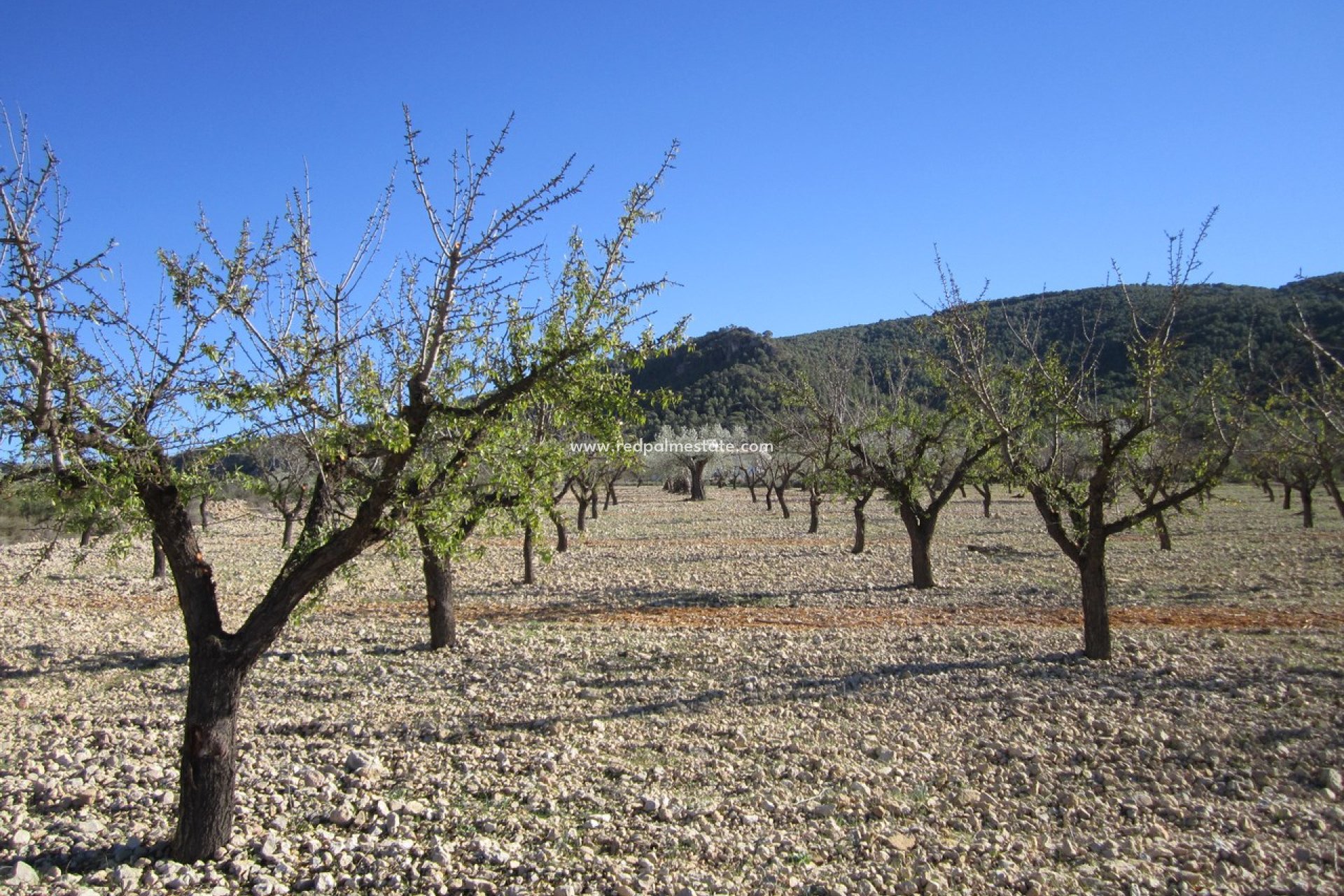 Videresalg - Plott -
Villena - Inland