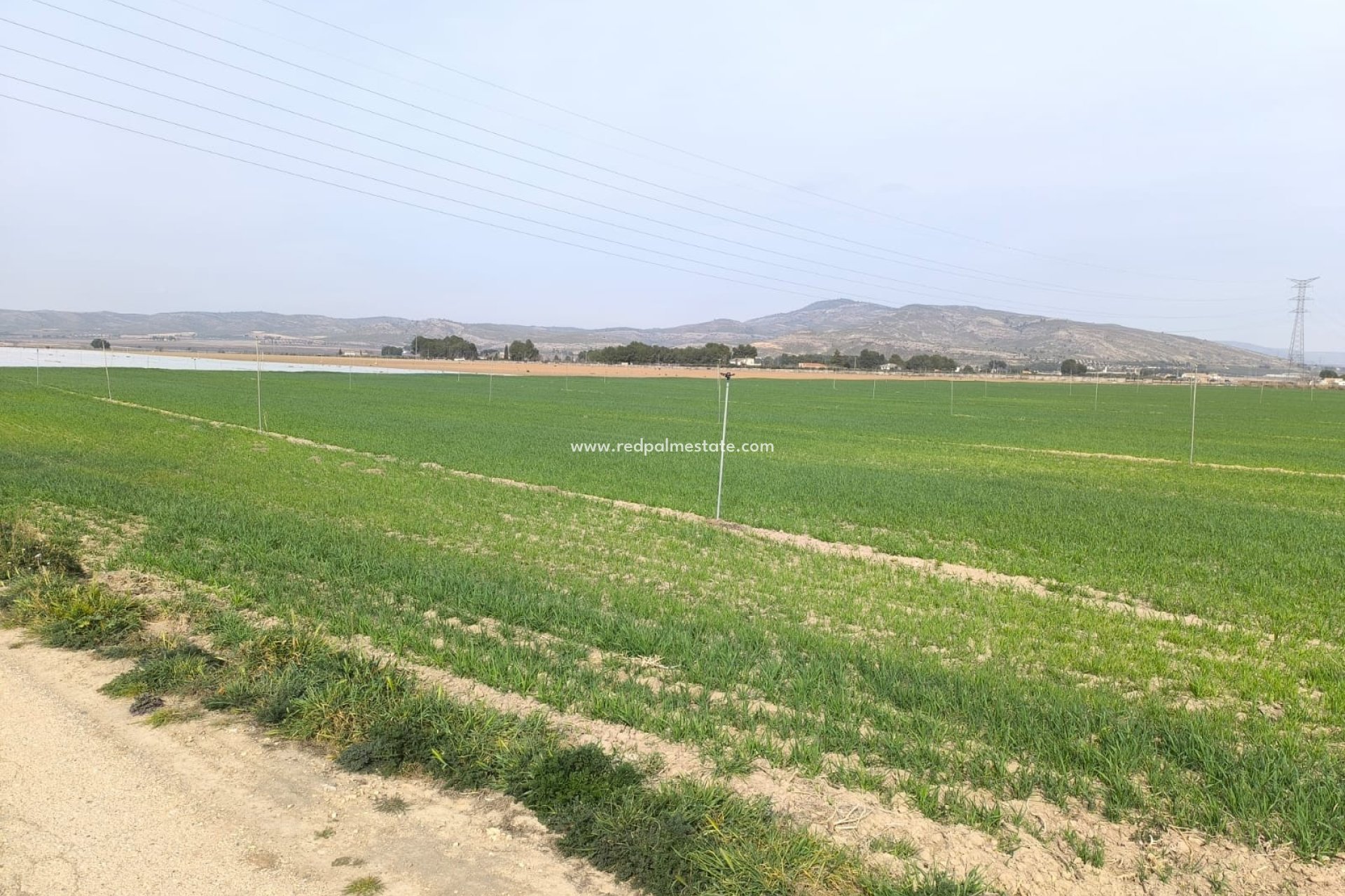 Videresalg - Plott -
Villena - Inland