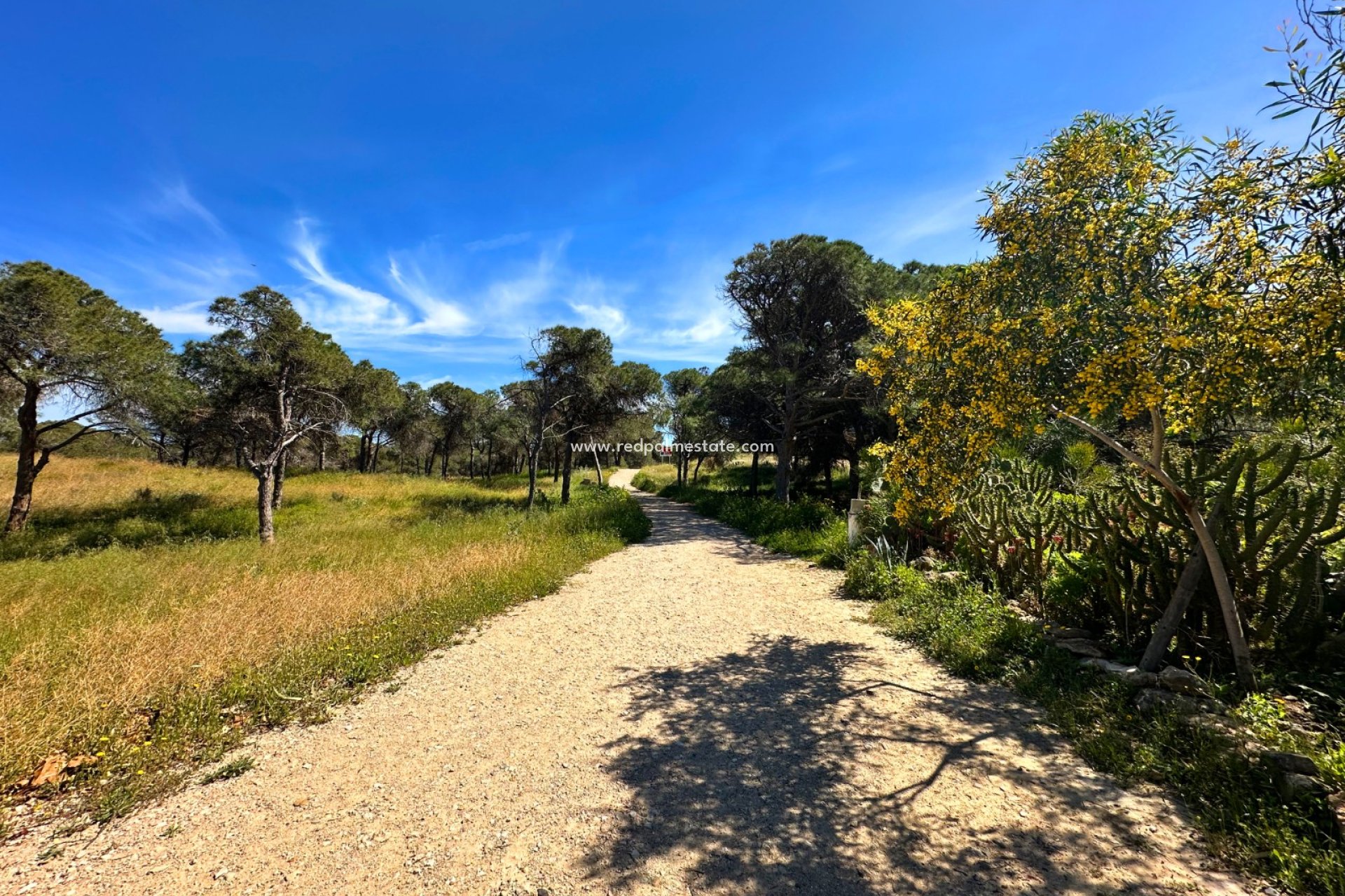 Videresalg - Rekkehus -
Guardamar del Segura - Guardamar