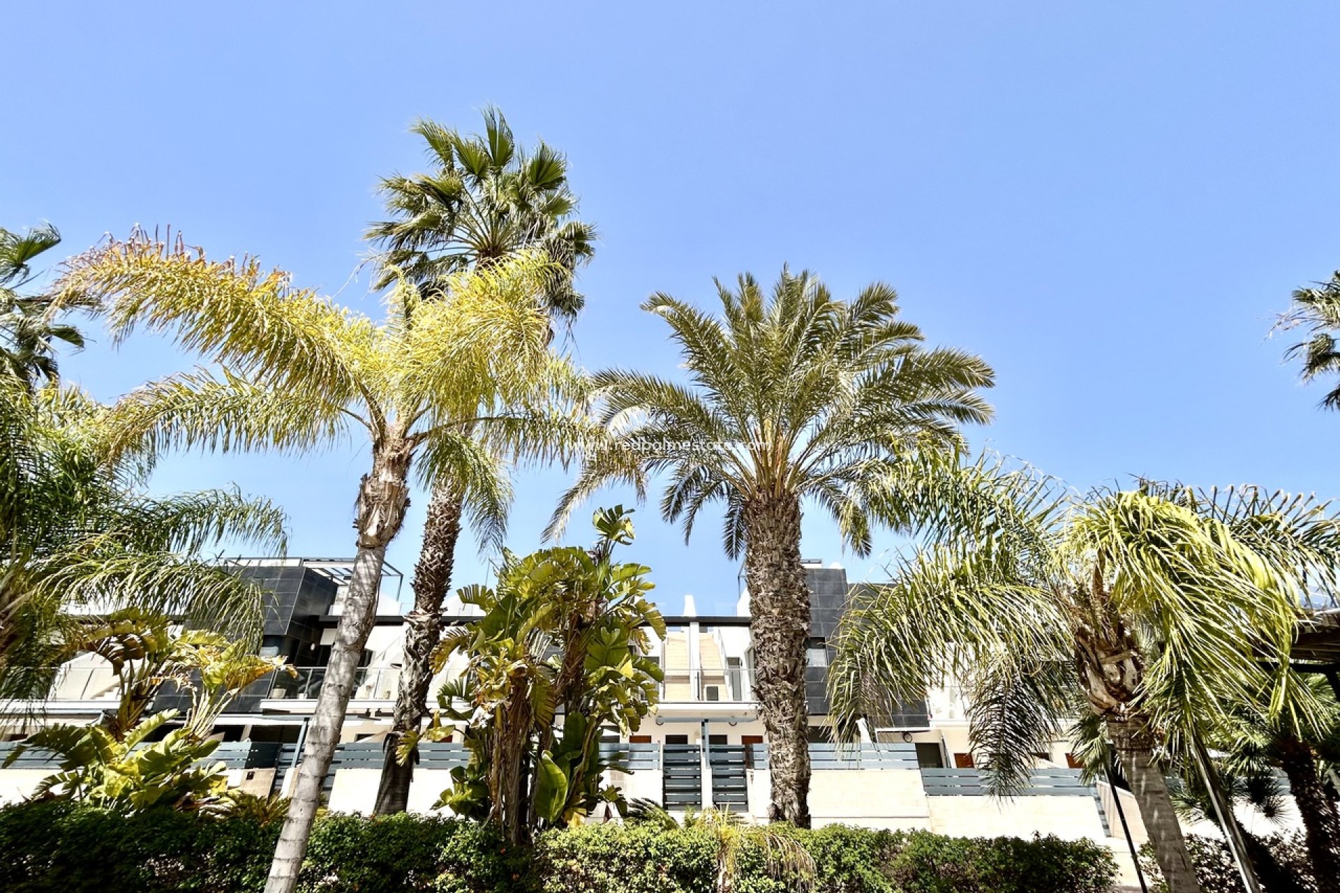 Videresalg - Rekkehus -
Orihuela Costa - Inland