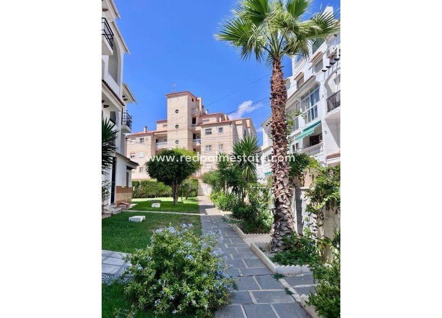 Videresalg - Rekkehus -
Torrevieja - Calas blanca