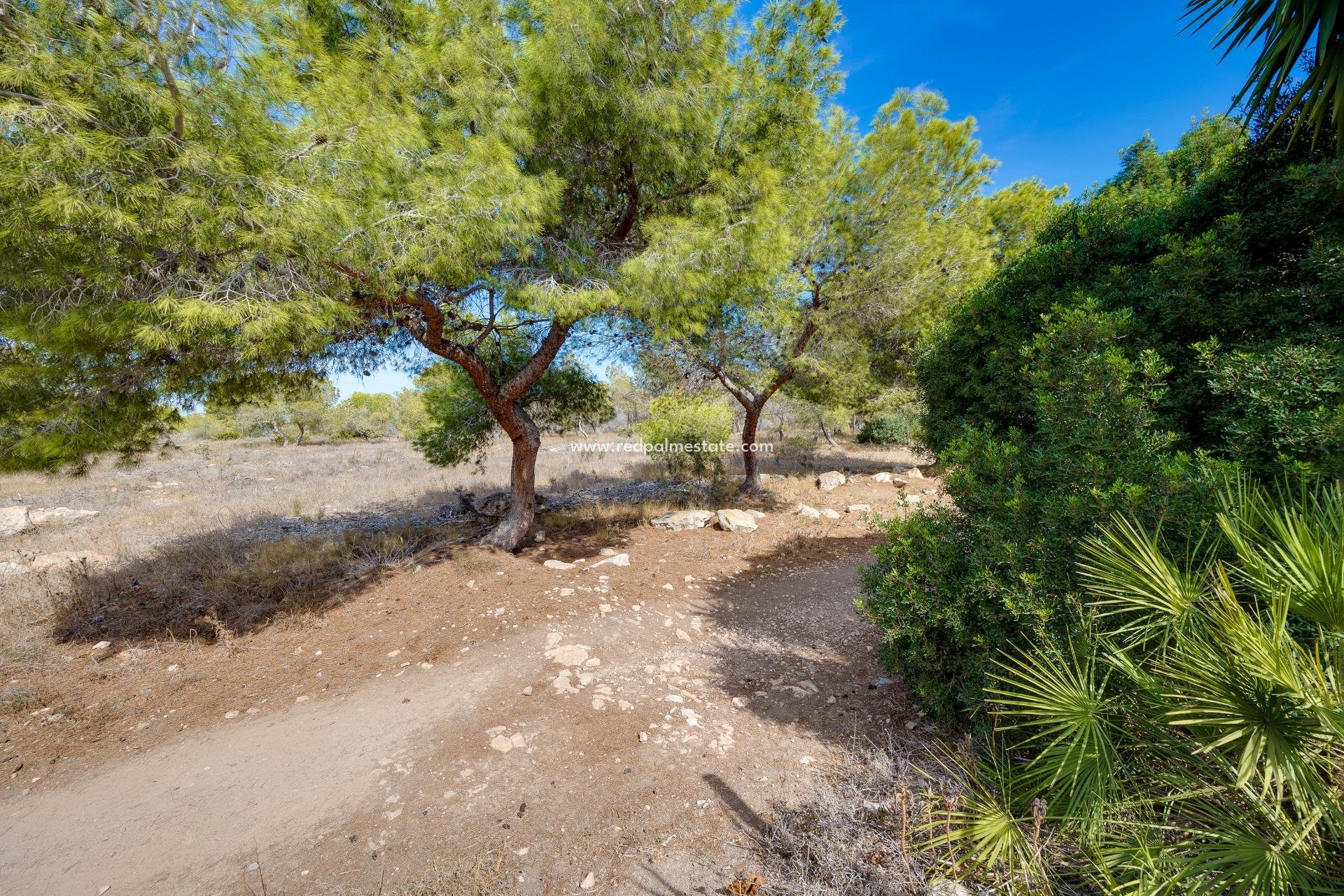 Videresalg - Rekkehus -
Torrevieja - La Siesta - El Salado - Torreta