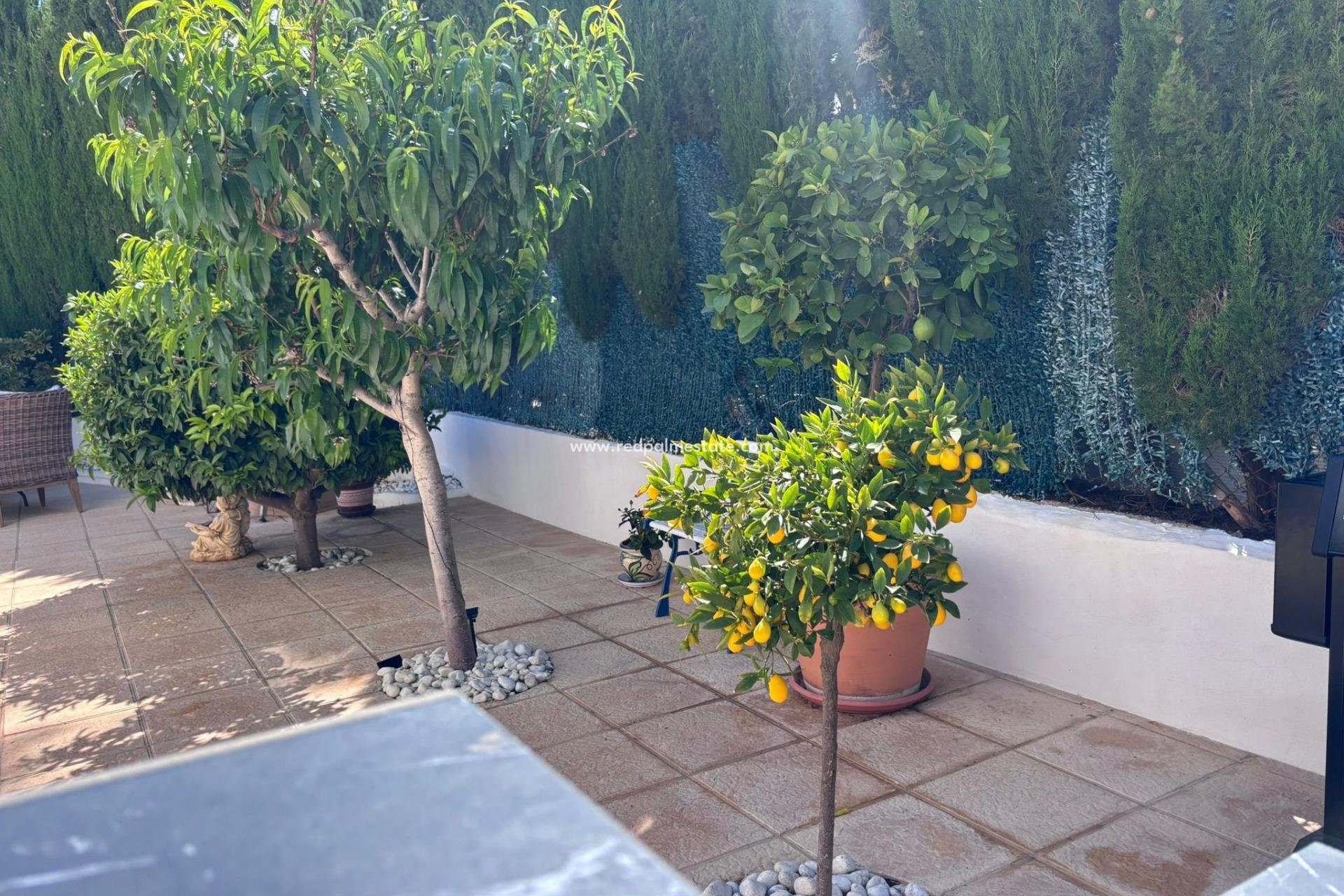 Videresalg - Rekkehus -
Torrevieja - Los balcones
