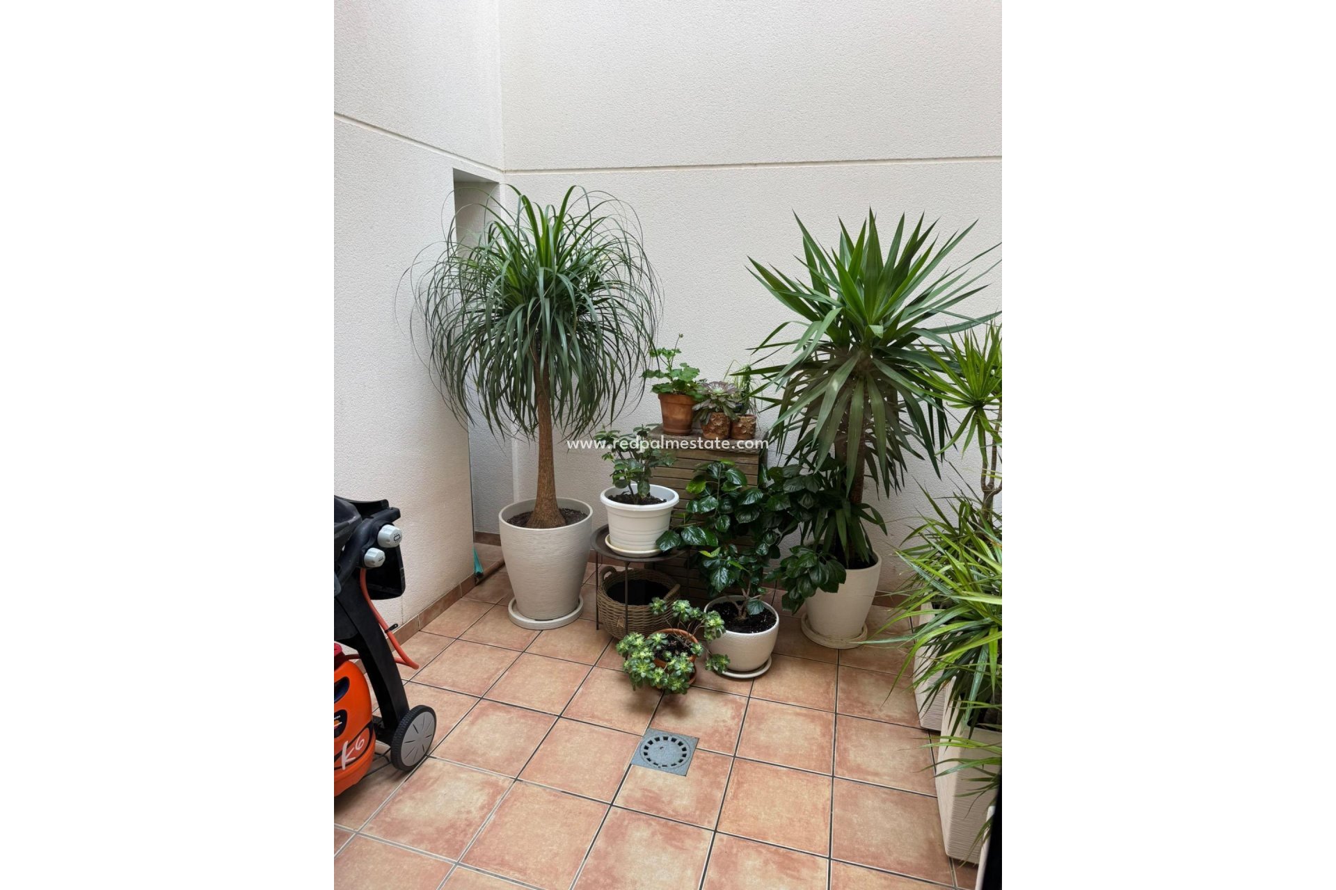 Videresalg - Rekkehus -
Torrevieja - Punta prima