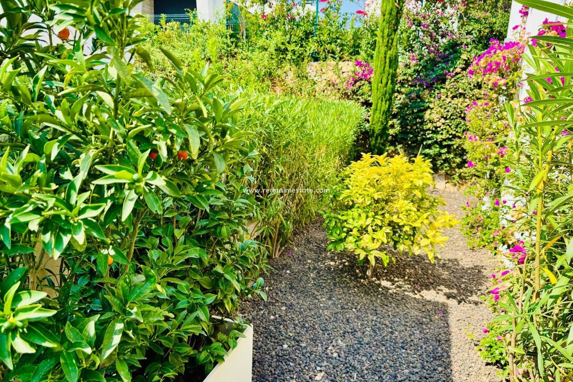 Videresalg - Villa -
Algorfa - Club De Golf La Finca