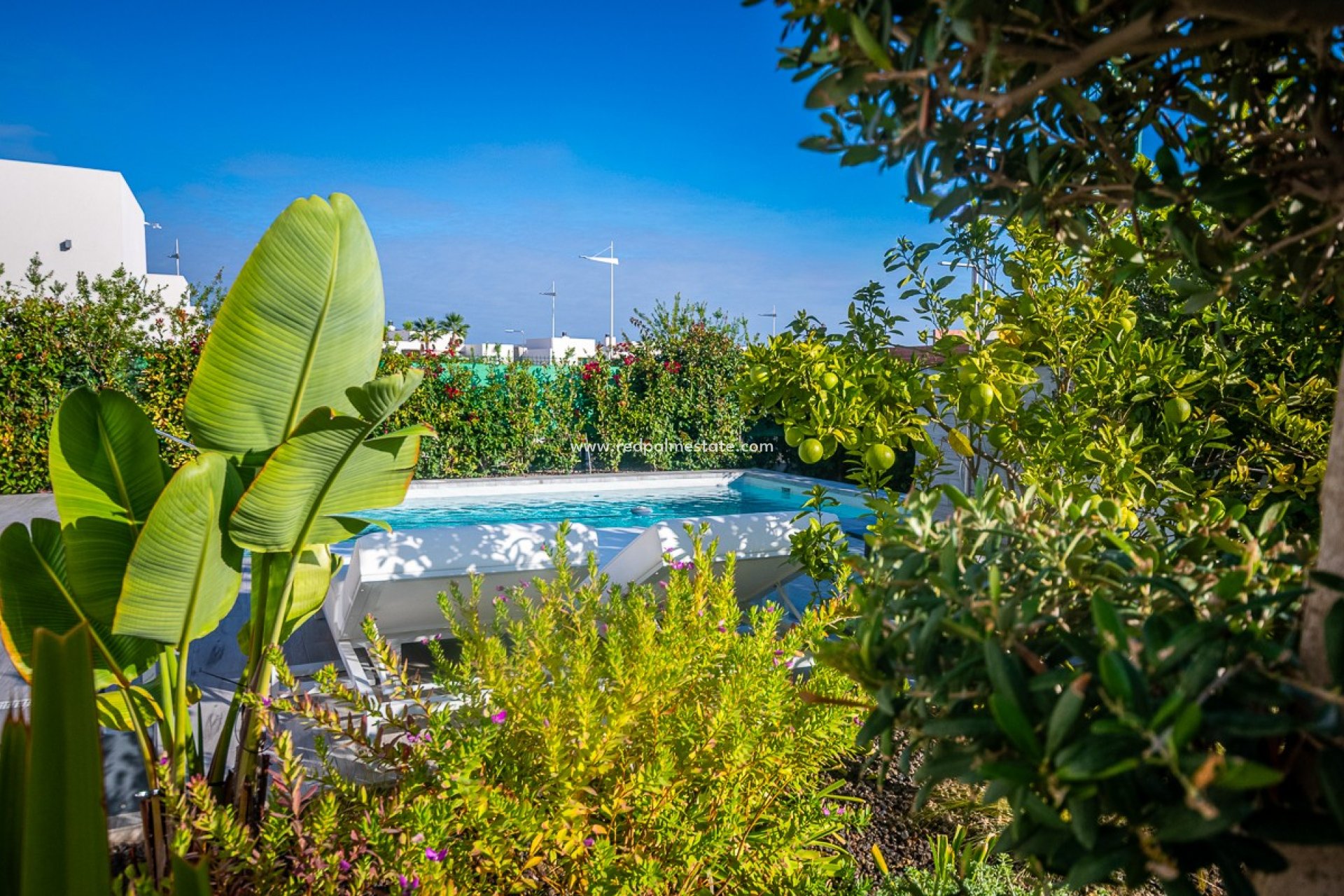 Videresalg - Villa -
Algorfa - Inland