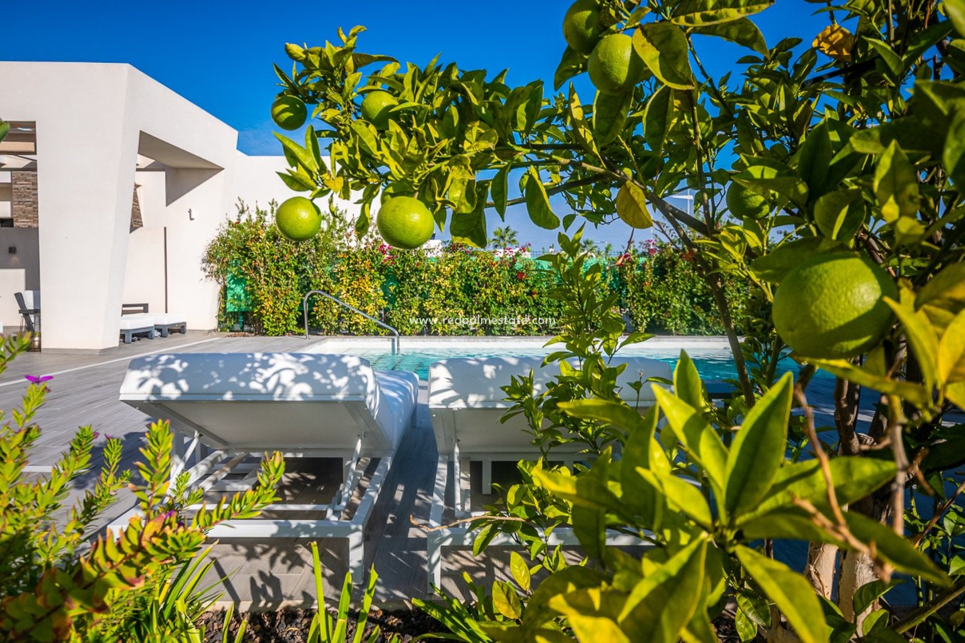 Videresalg - Villa -
Algorfa - Inland