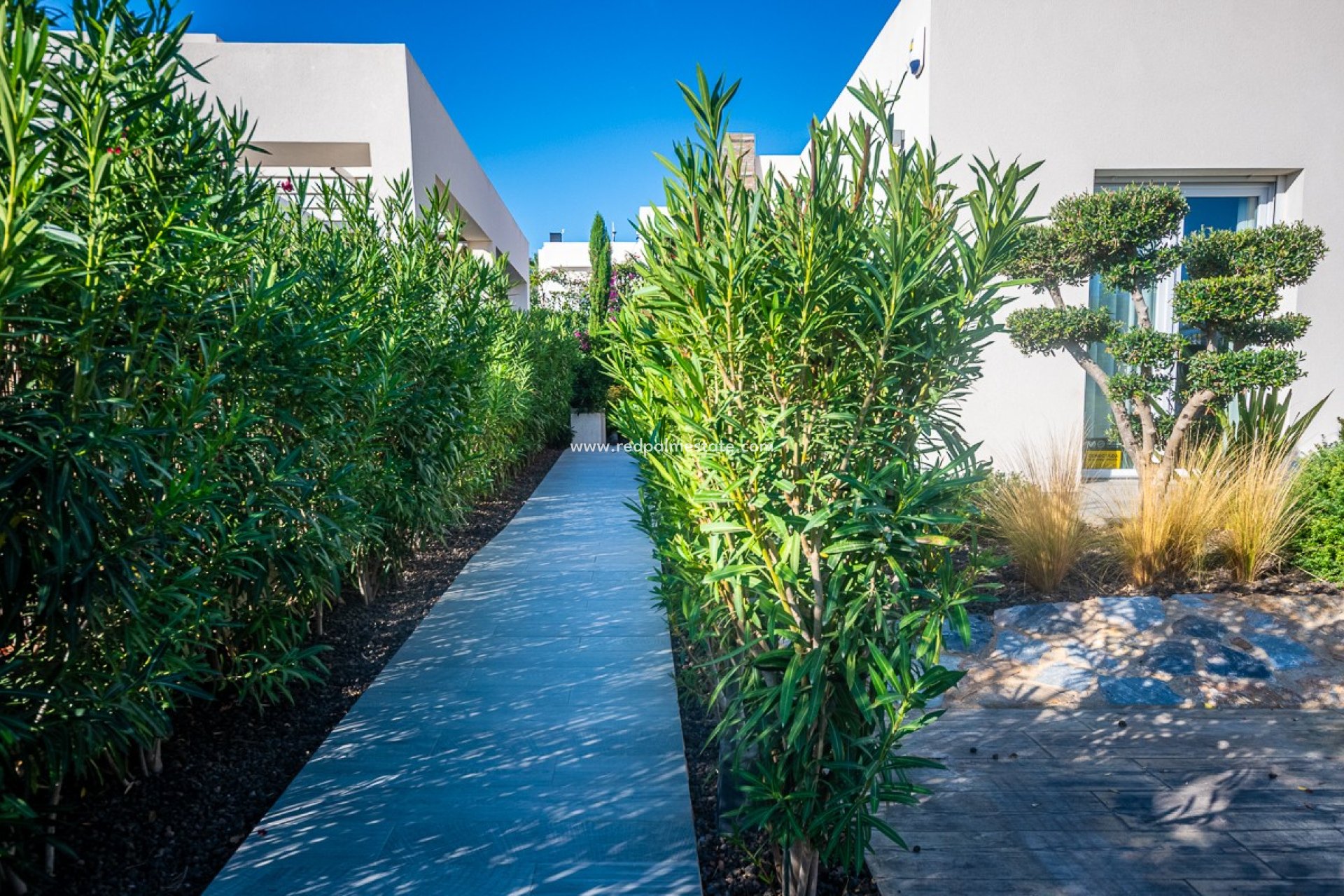 Videresalg - Villa -
Algorfa - Inland