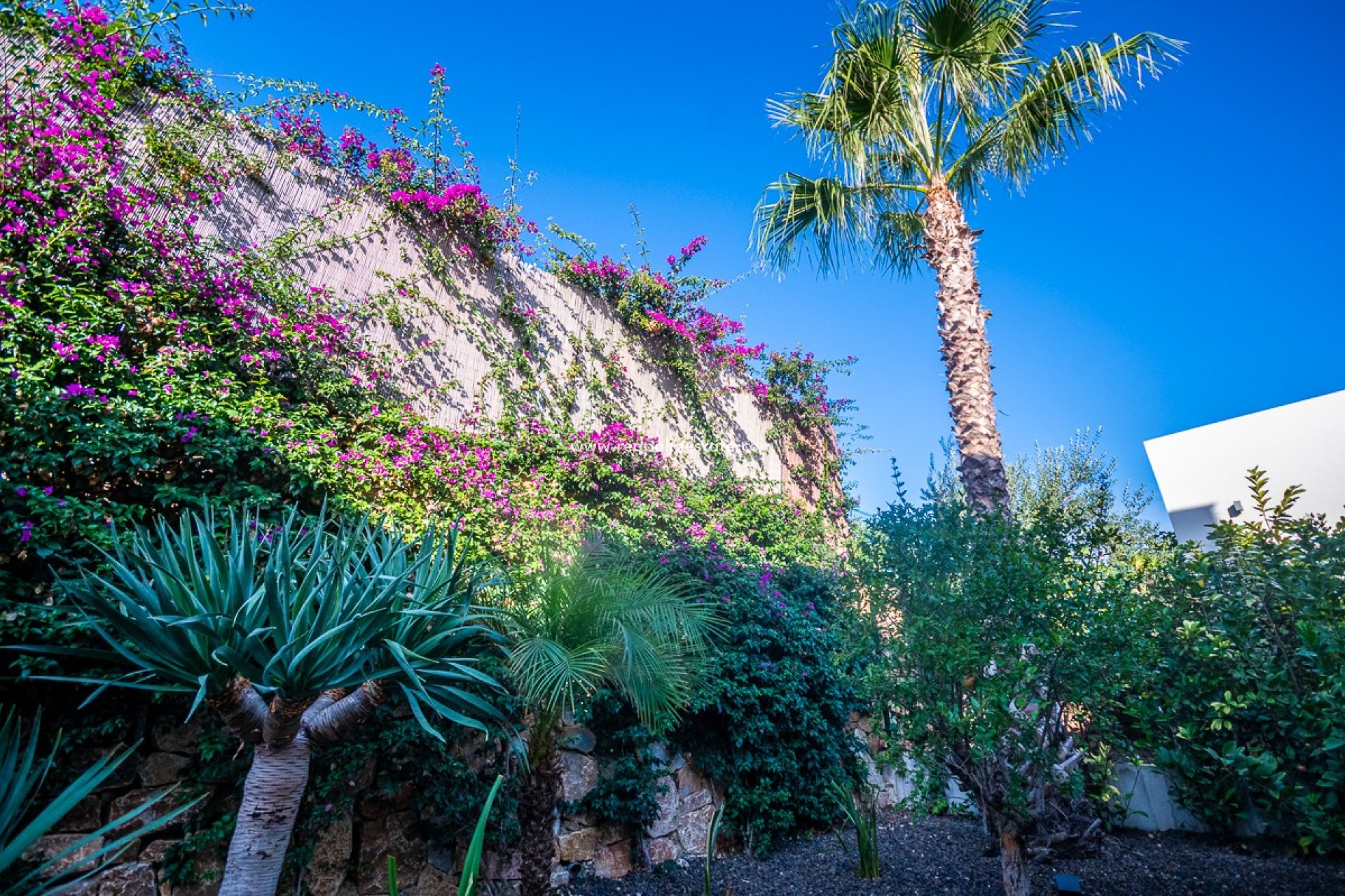 Videresalg - Villa -
Algorfa - Inland