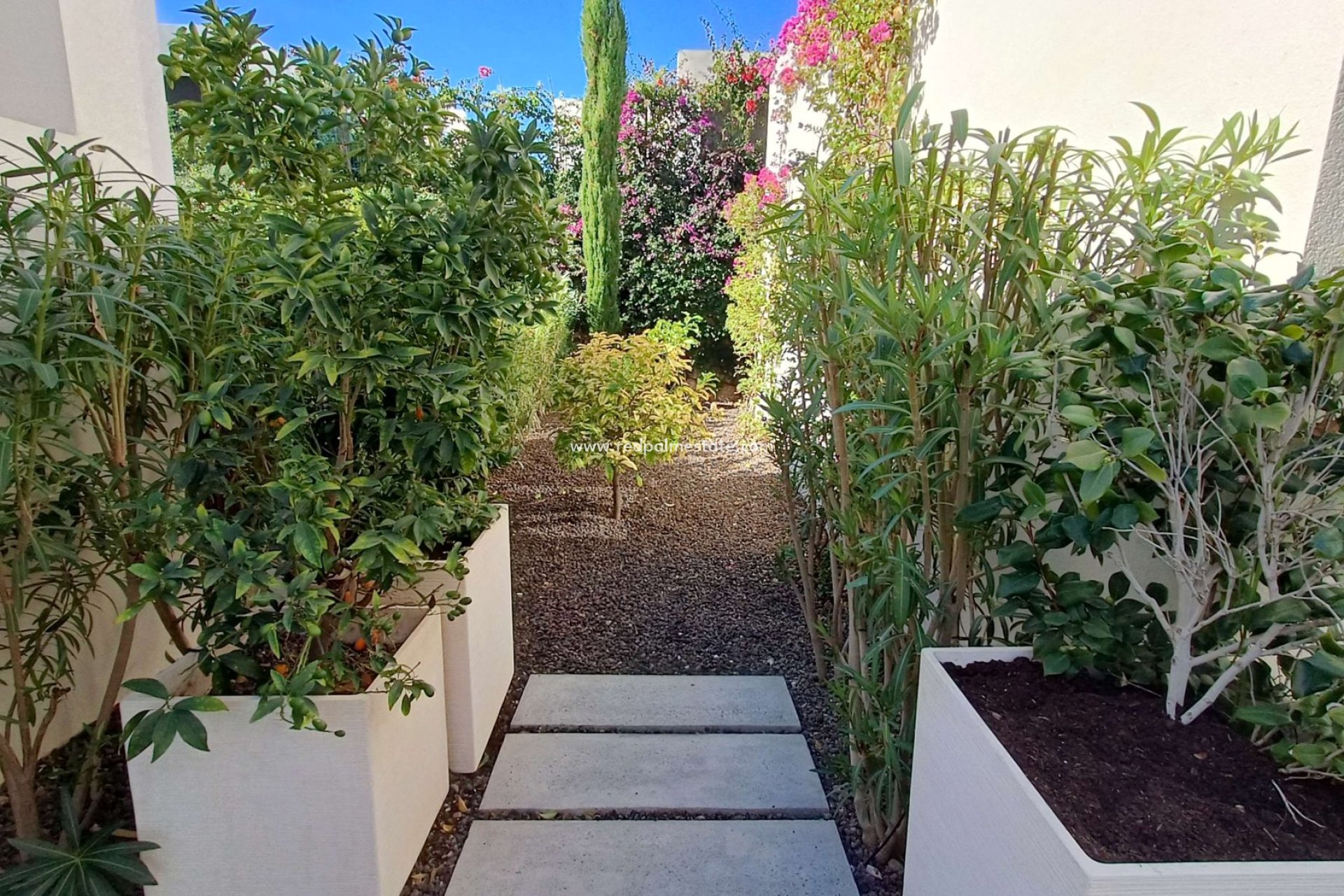 Videresalg - Villa -
Algorfa - Inland