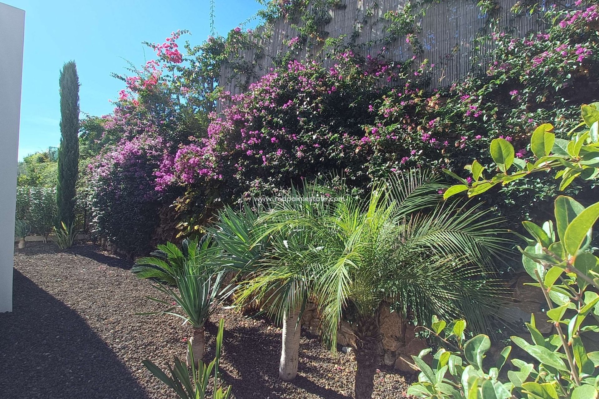 Videresalg - Villa -
Algorfa - Inland