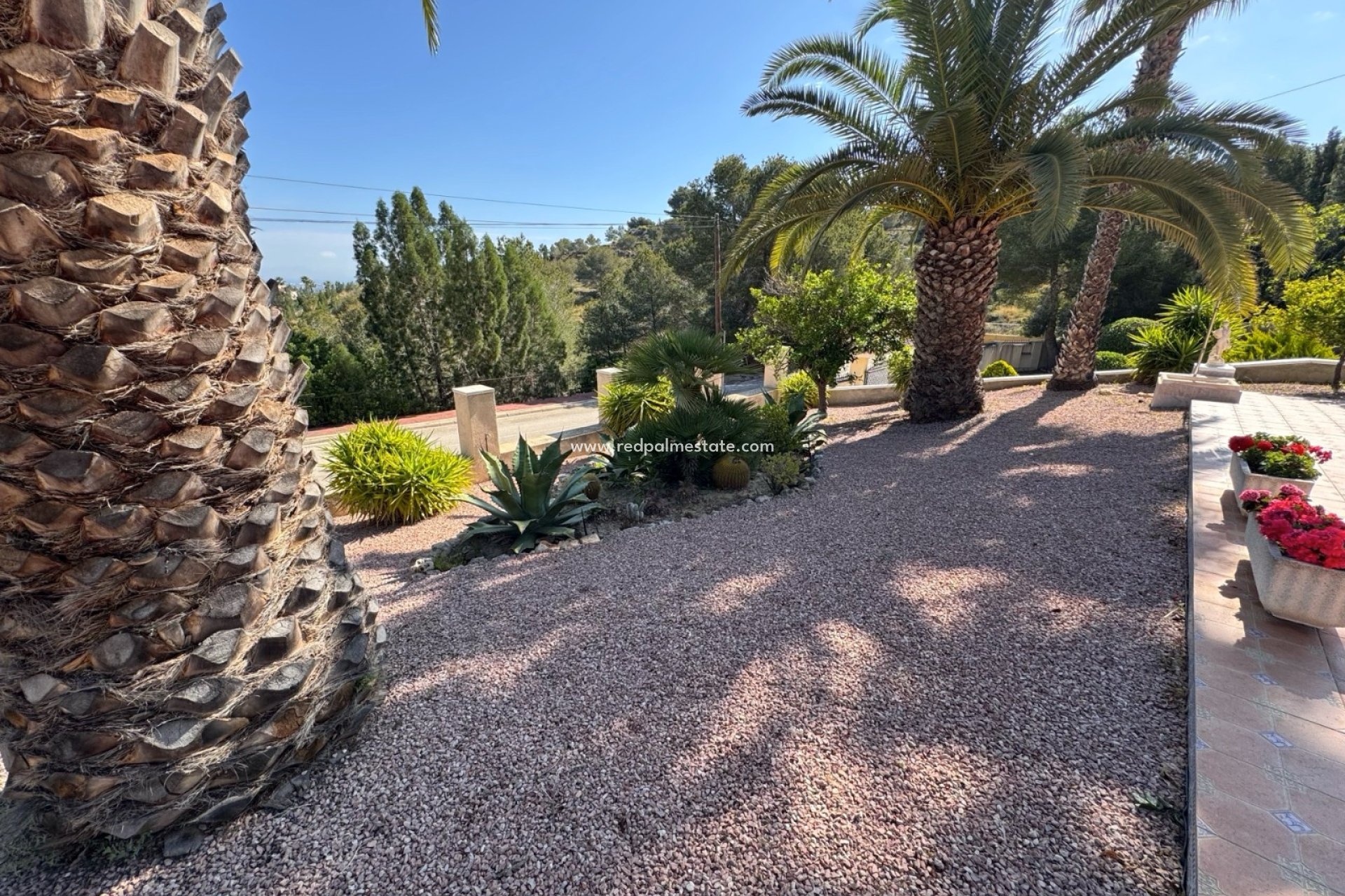 Videresalg - Villa -
Algorfa