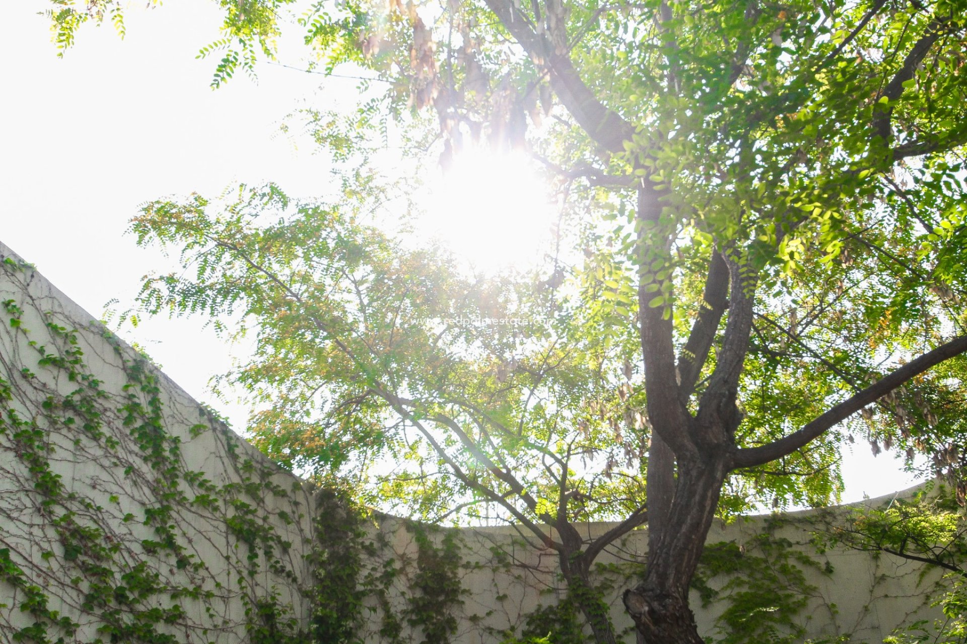 Videresalg - Villa -
Alicante - Inland