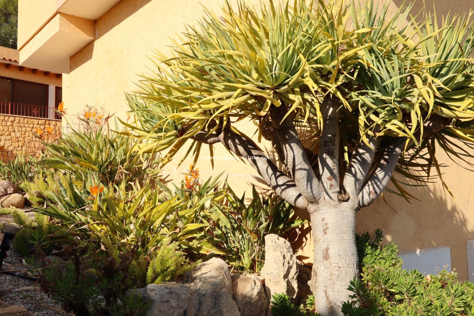 Videresalg - Villa -
Altea