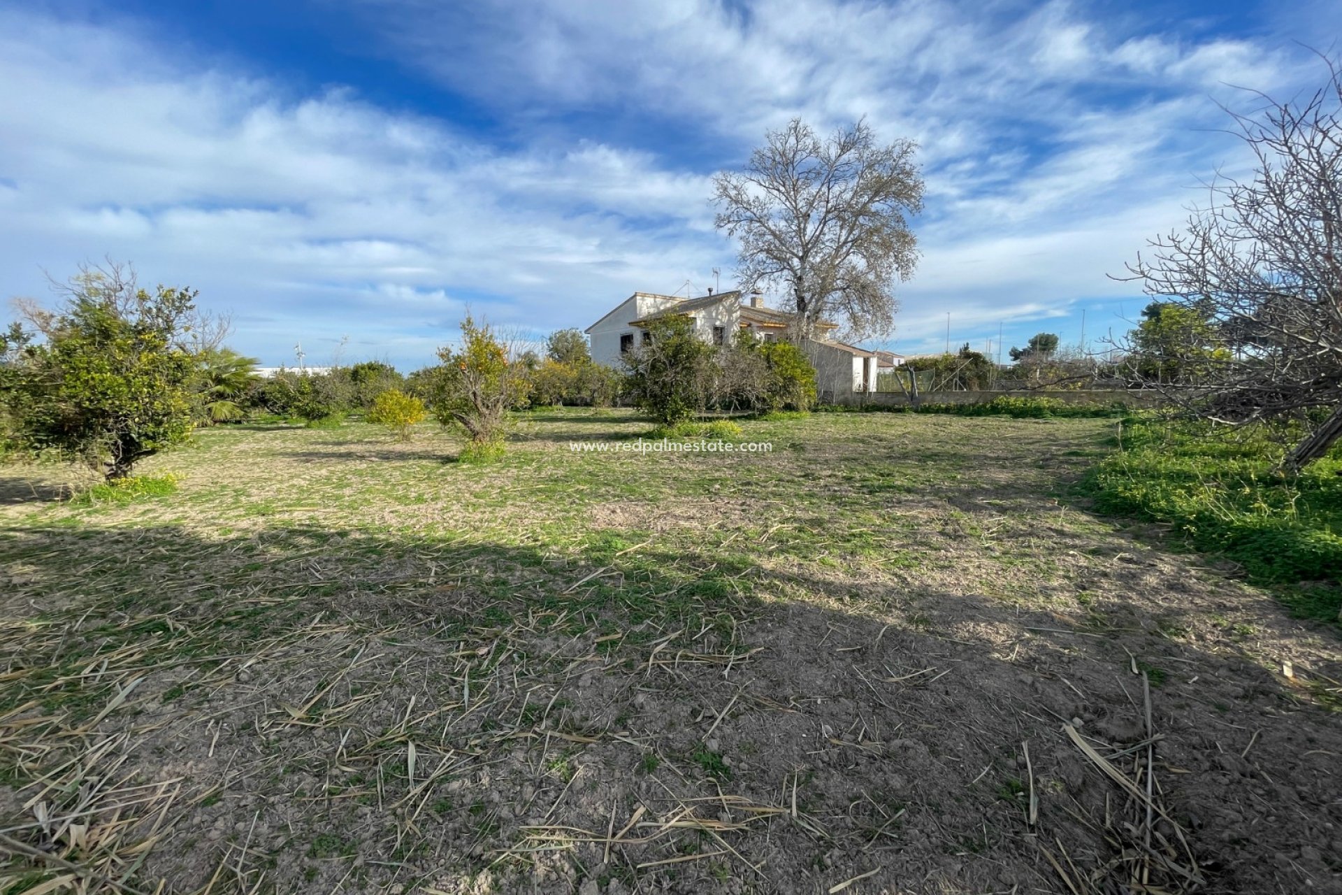 Videresalg - Villa -
Benejúzar - Inland