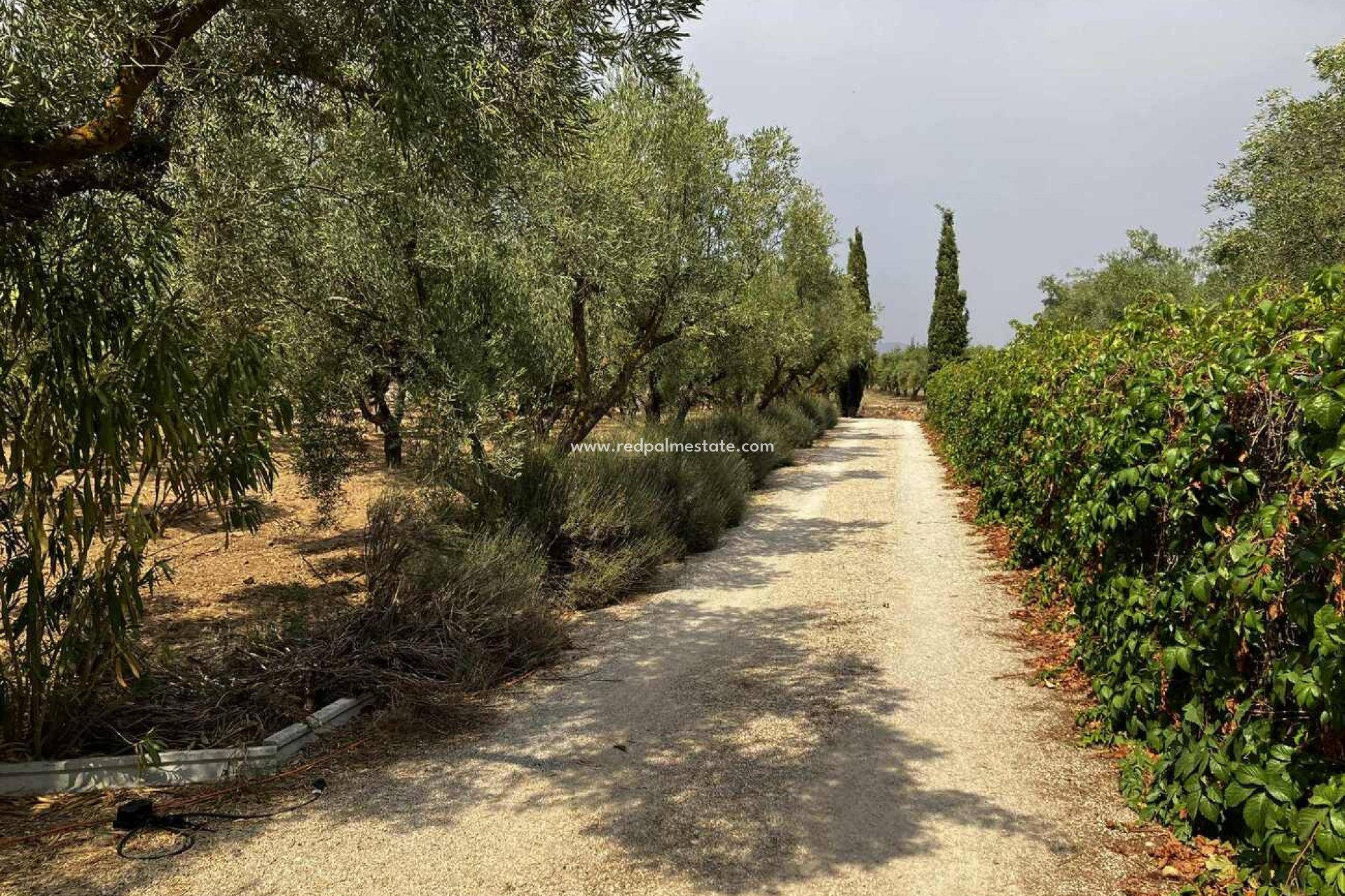 Videresalg - Villa -
Biar - Costa Blanca