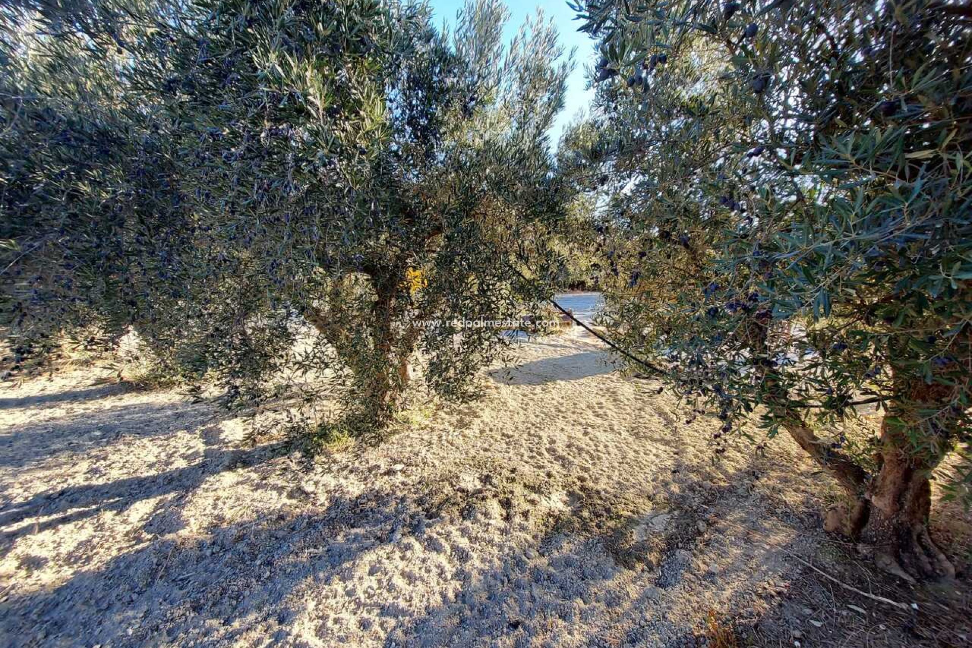 Videresalg - Villa -
Calasparra - Inland