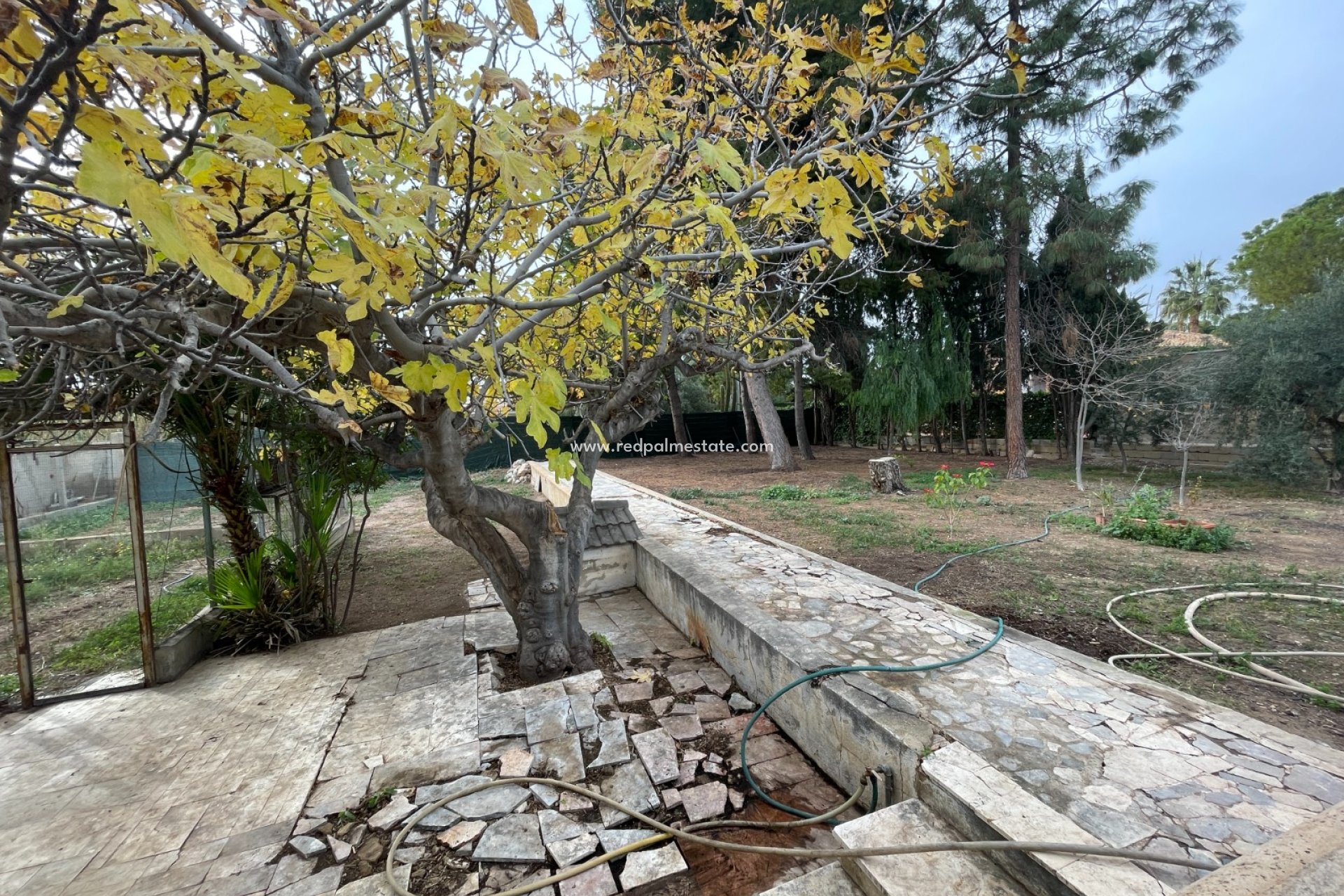 Videresalg - Villa -
Elche - Costa Blanca