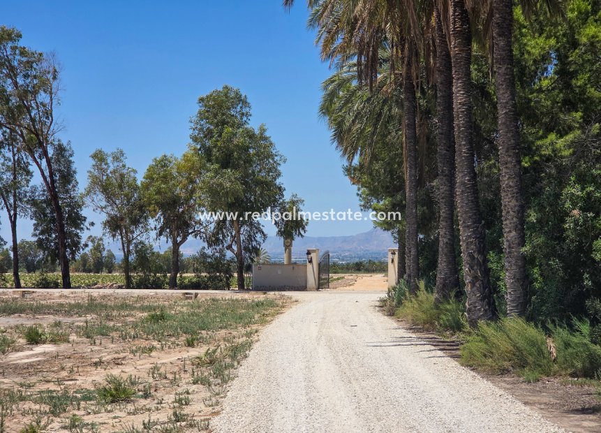 Videresalg - Villa -
Elche - Costa Blanca
