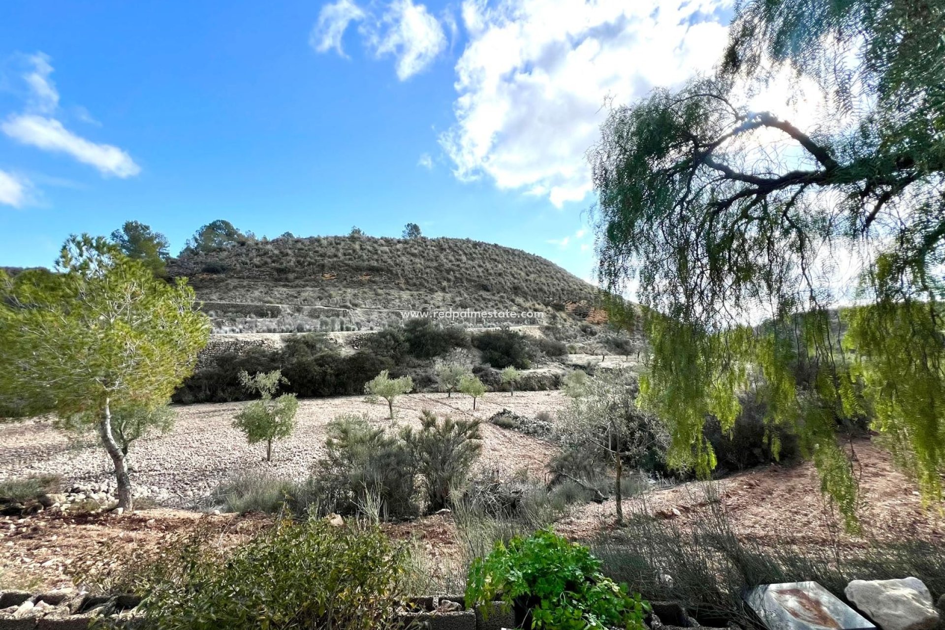 Videresalg - Villa -
Monóvar/Monóver - Inland