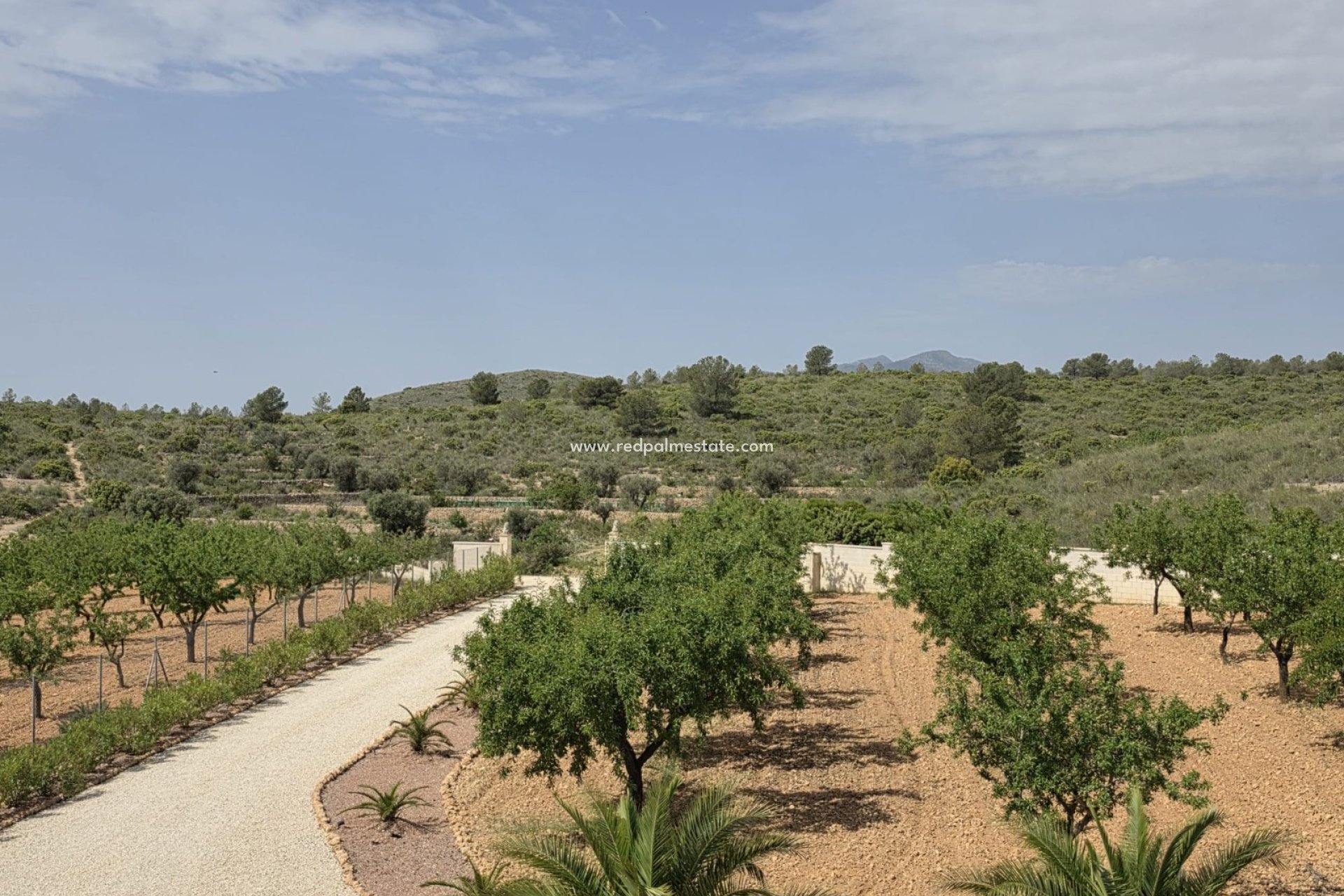 Videresalg - Villa -
Pinoso - Inland
