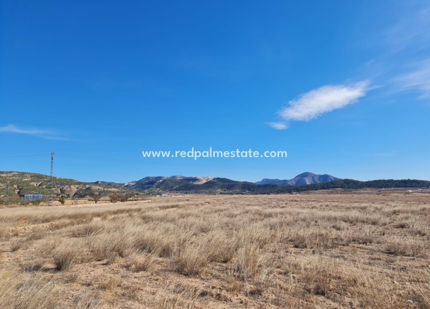 Videresalg - Villa -
Pinoso - Inland